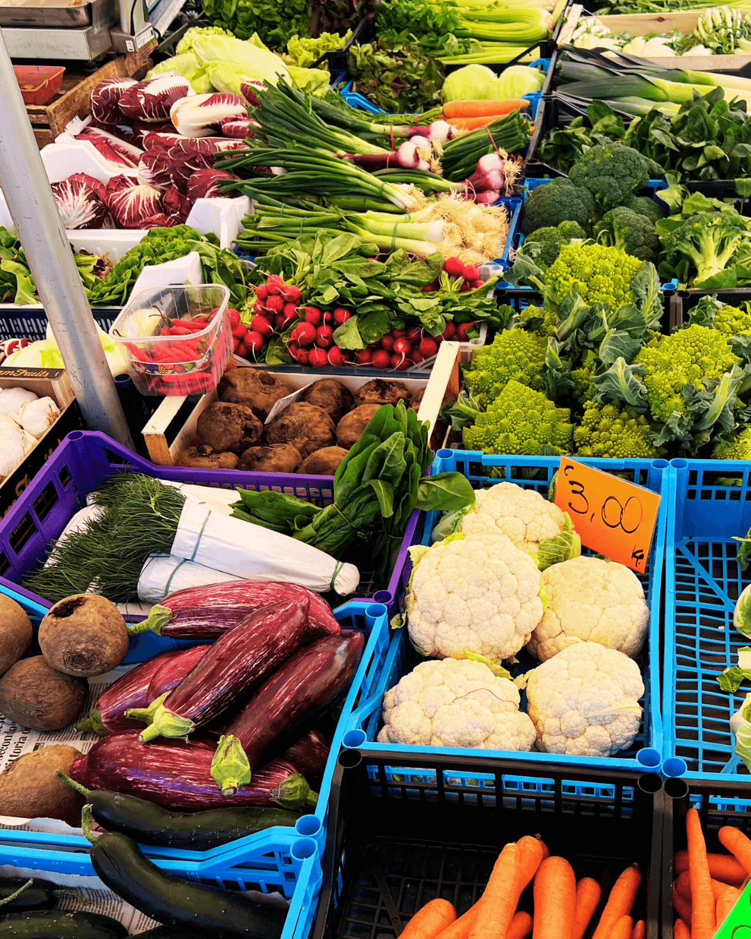Fresh vegetables on display at a market, including cauliflower, carrots, radishes, eggplants, broccoli, lettuce, green onions, and other leafy greens.