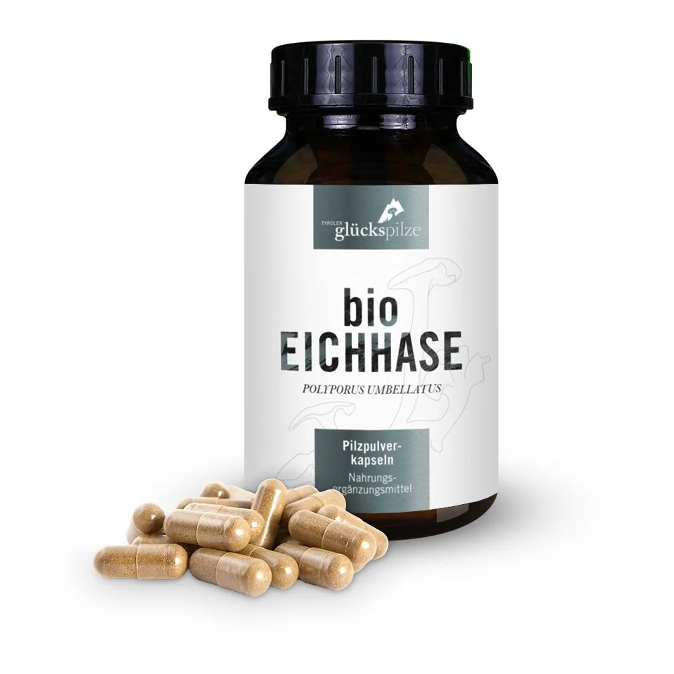 Bio-Eichhase - Polyporus umbellatus - Pilzpulverkapseln 120 Stk.