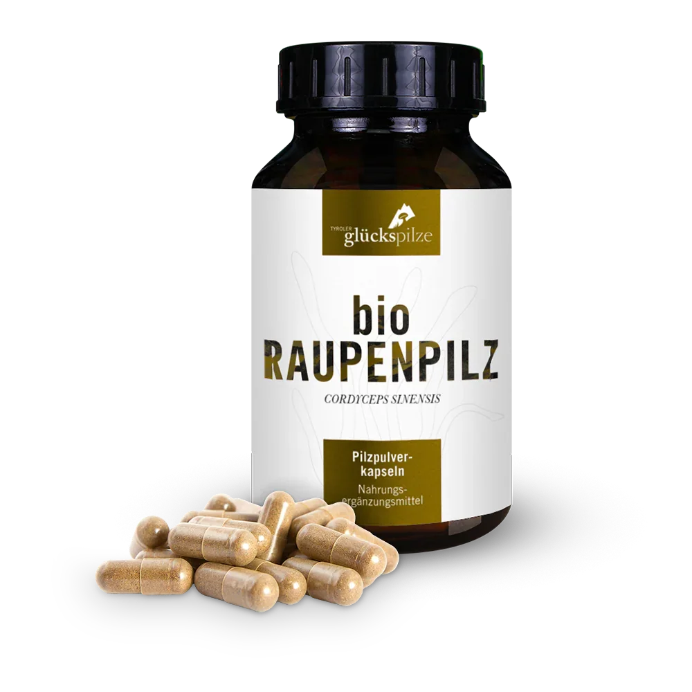 Bio-Raupenpilz - Cordyceps sinensis - Pilzpulver Kapseln 120 Stk