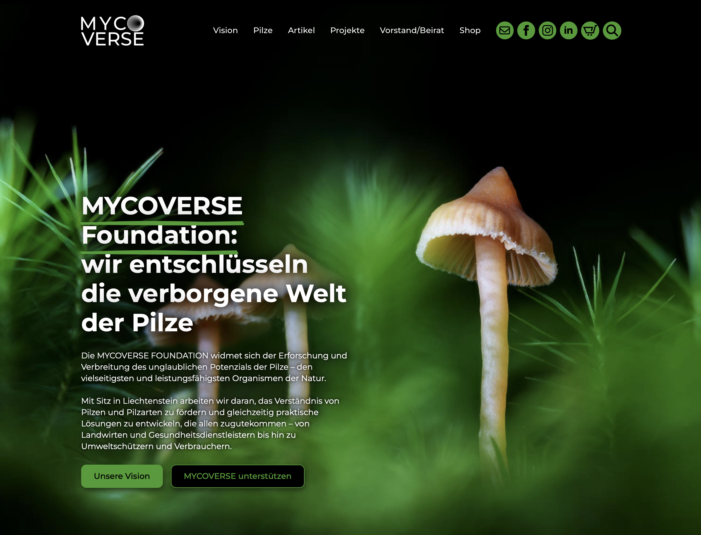 Webseite der MYCOVERSE Foundation mit einem Nahaufnahme-Foto von Pilzen auf einer grünen, bewachsenen Bodenfläche. Der Text beschreibt die Mission der Stiftung, die das verborgene Welt der Pilze erforscht und fördert, um das Verständnis zu verbessern und Lösungen für verschiedene Bereiche zu entwickeln.