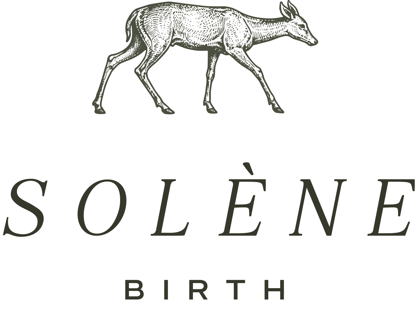Solene Birth