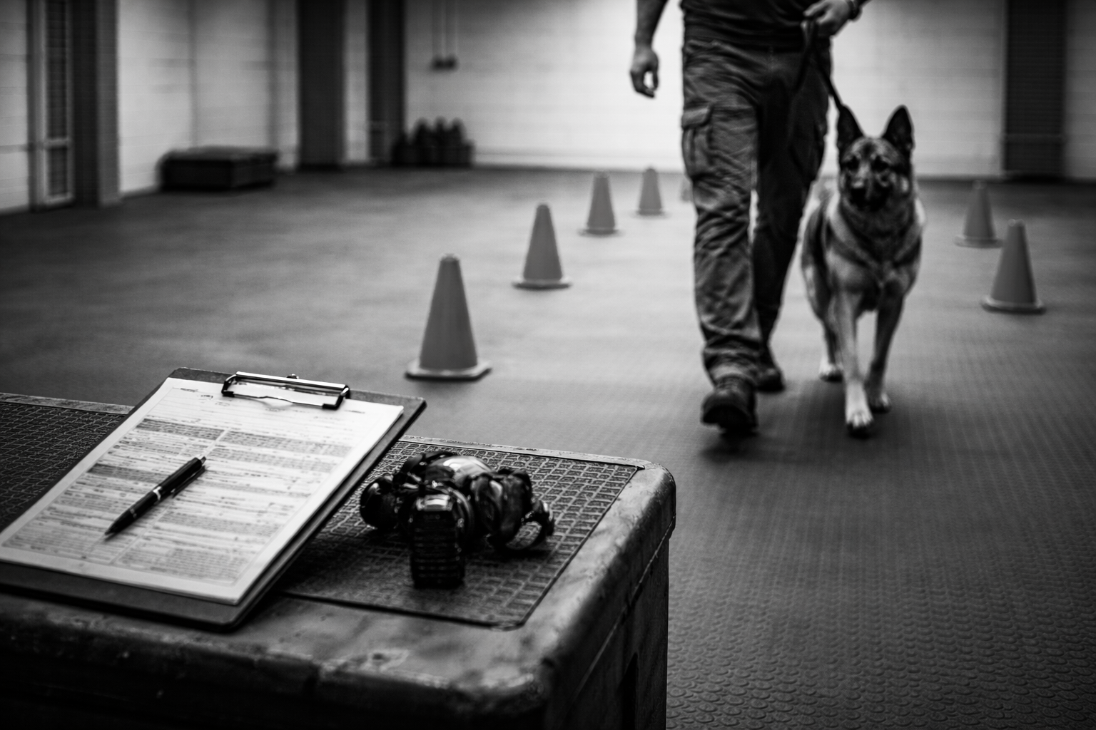 Hundetraining mit Halter im strukturierten Einzeltraining