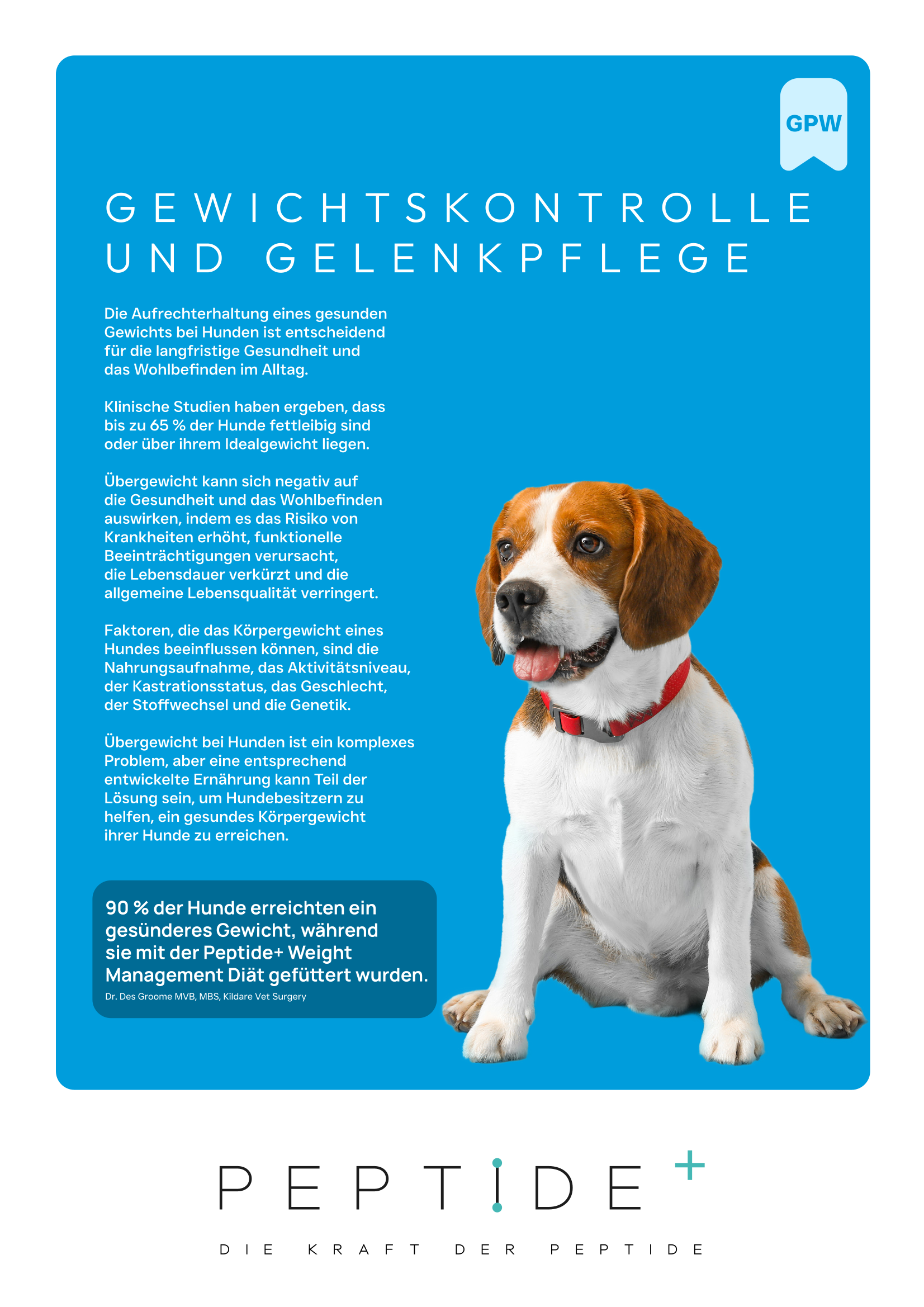 Gewicht Gelenk-1.png