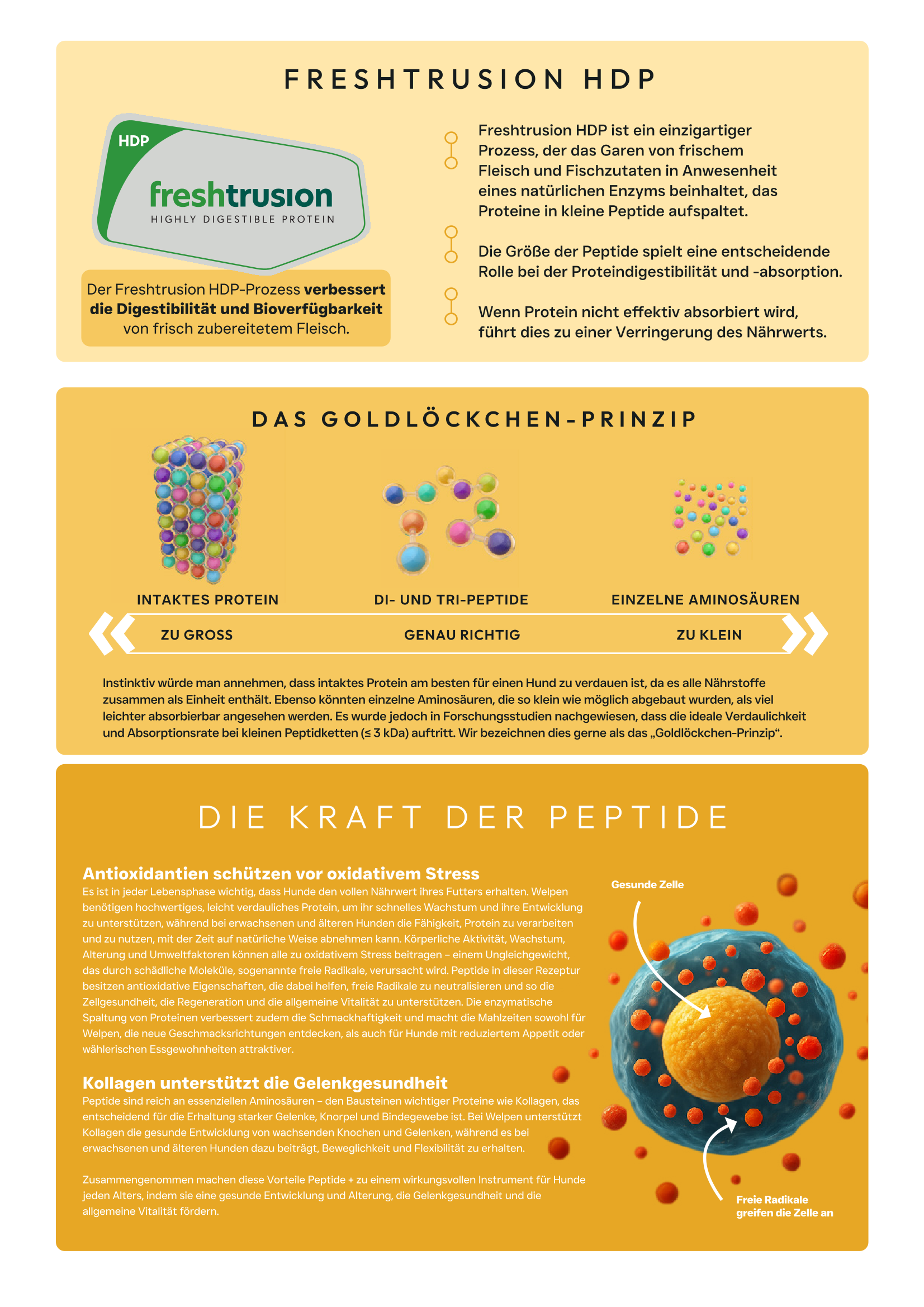 Gesundes Leben-2.png