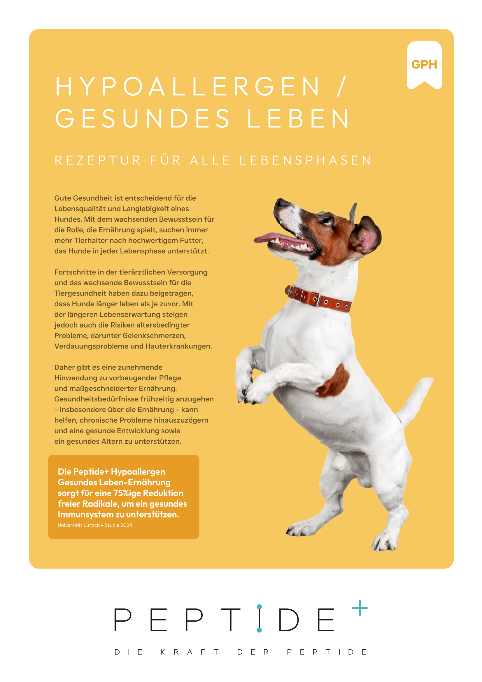 Gesundes Leben-1.png