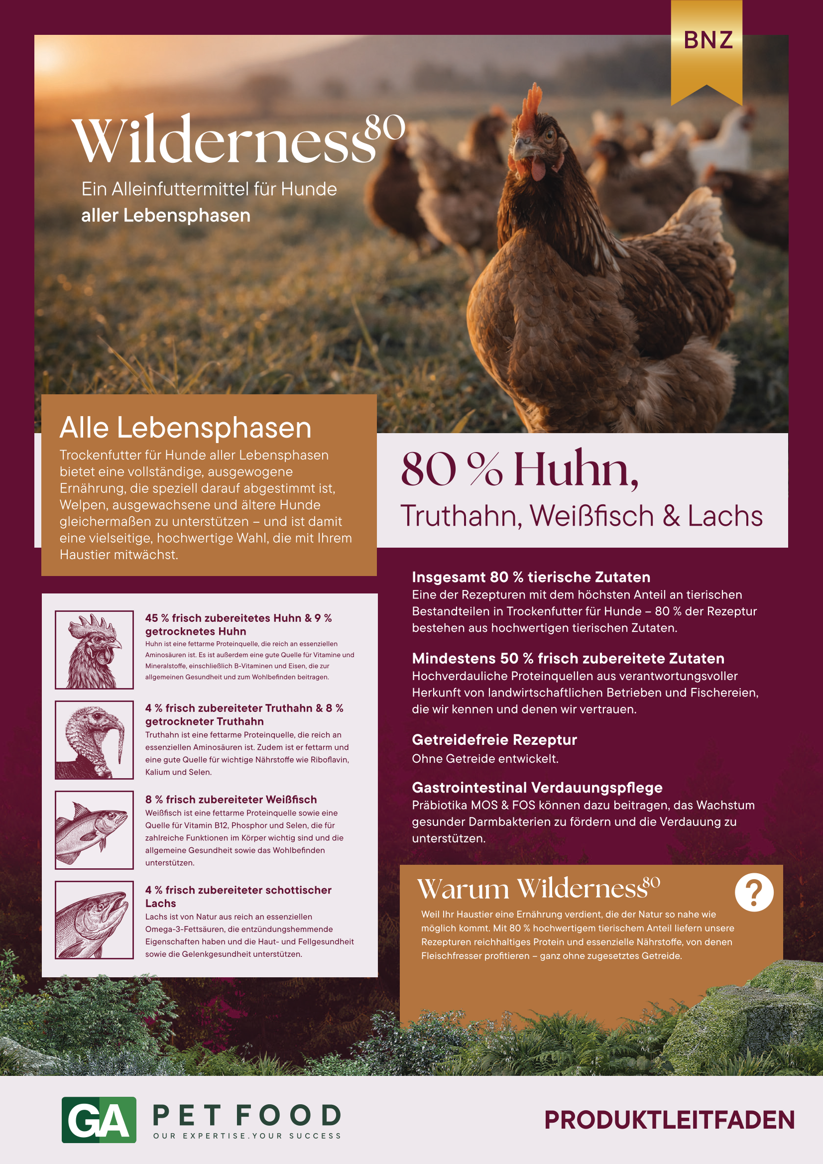 Wolfscodex Huhn-1.png