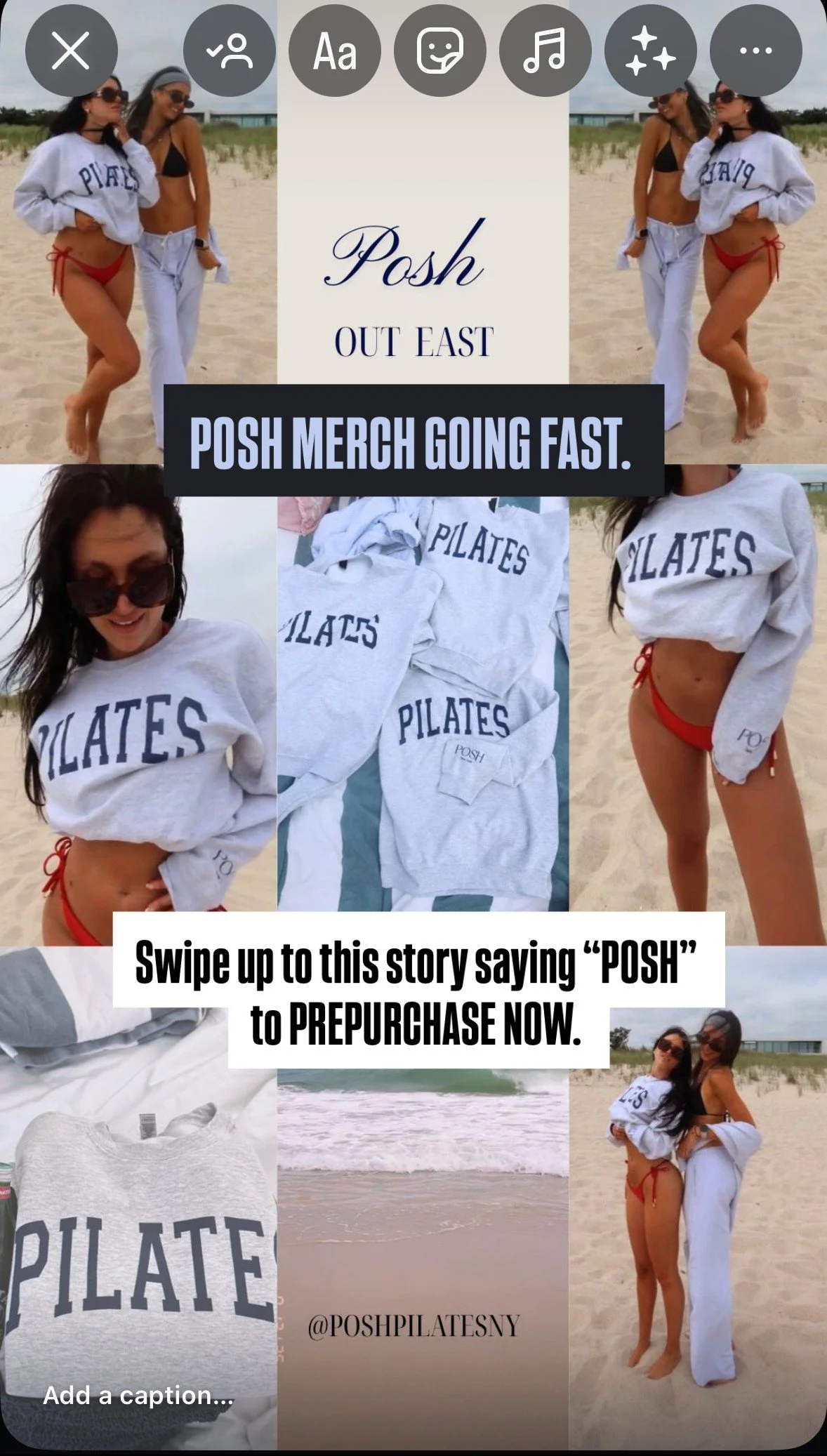 OFFICIAL POSHPILATESNY MERCHANDISE DESIGN: CREWNECK