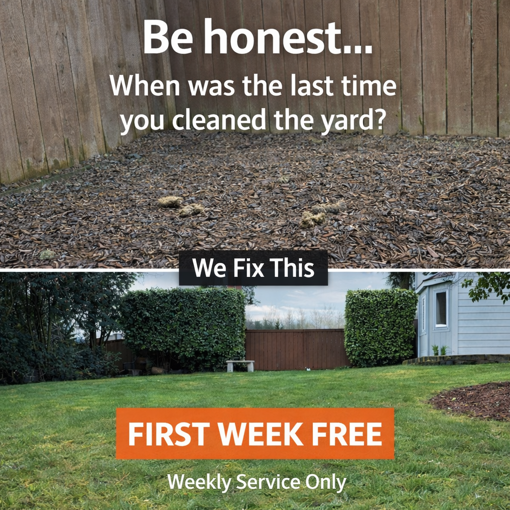 1 Image Feb 21, 2026, 05_13_56 PM.png