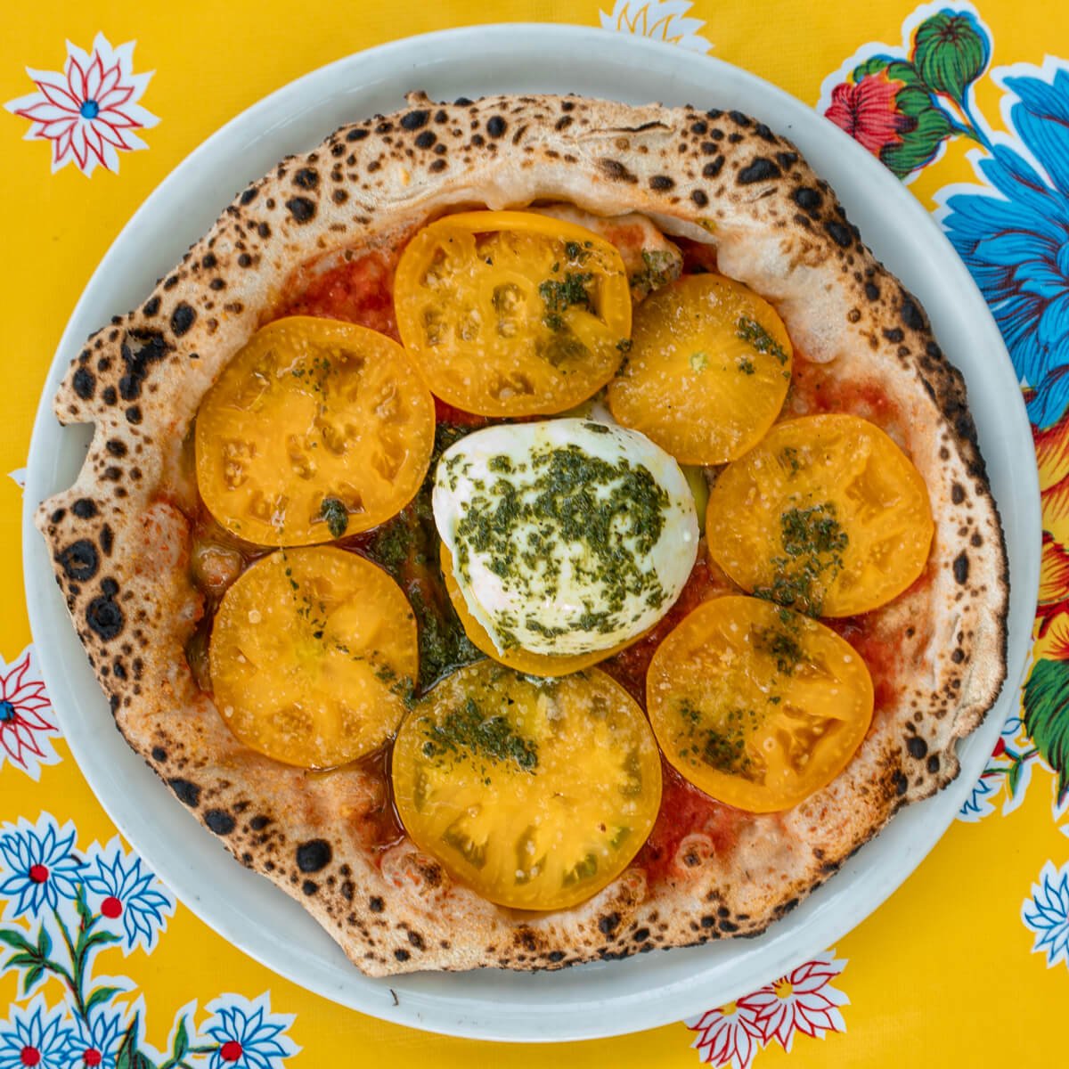 Caprese pizza special with tomatoes and buffalo mozzarella