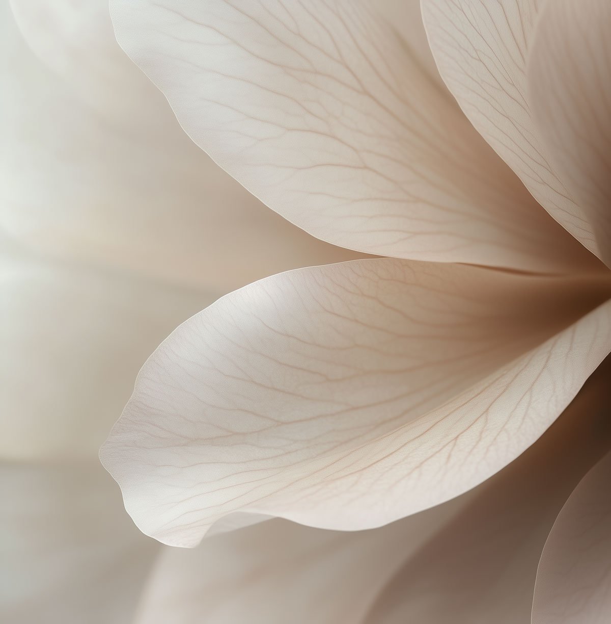 Digital Product No.1