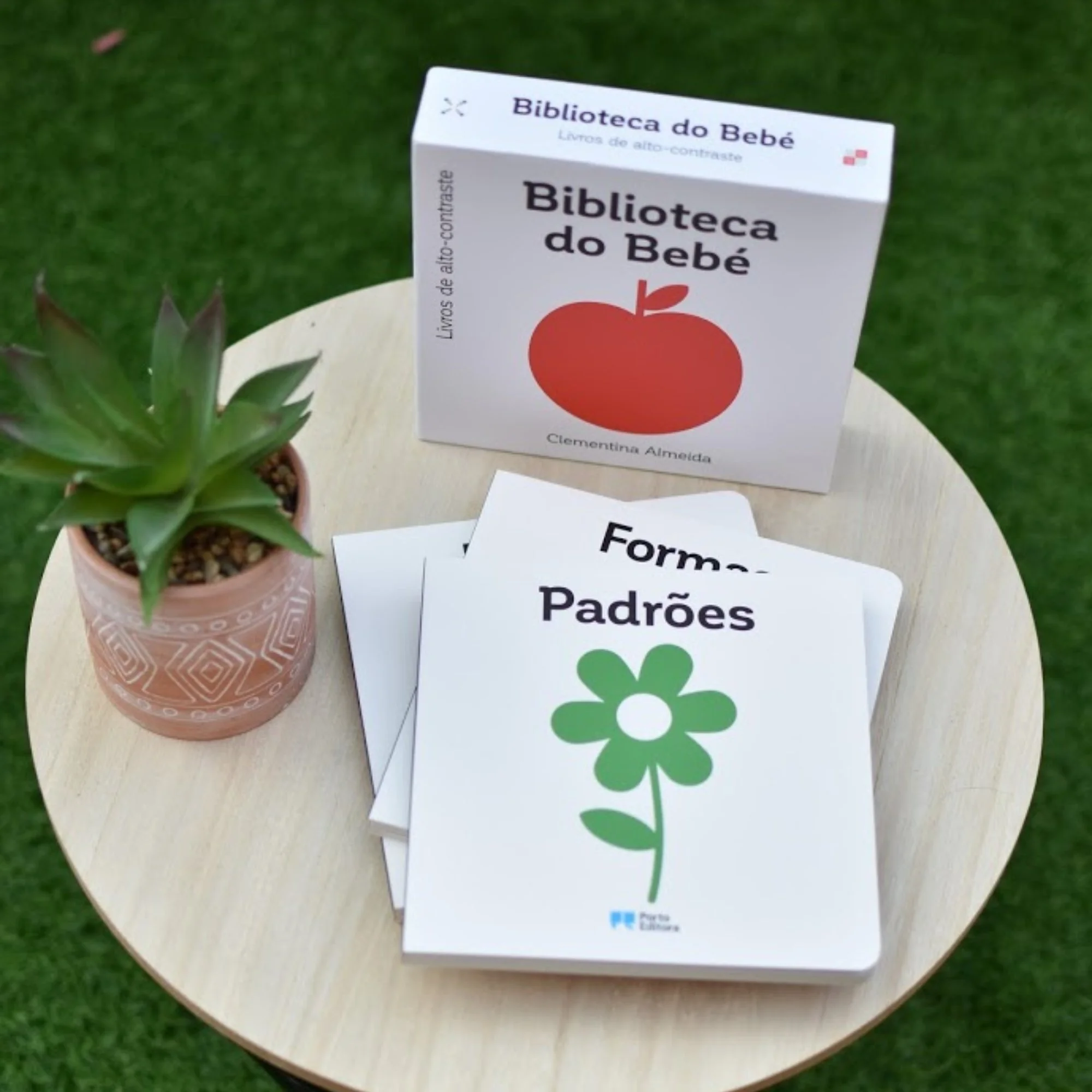 Livros Alto Contraste