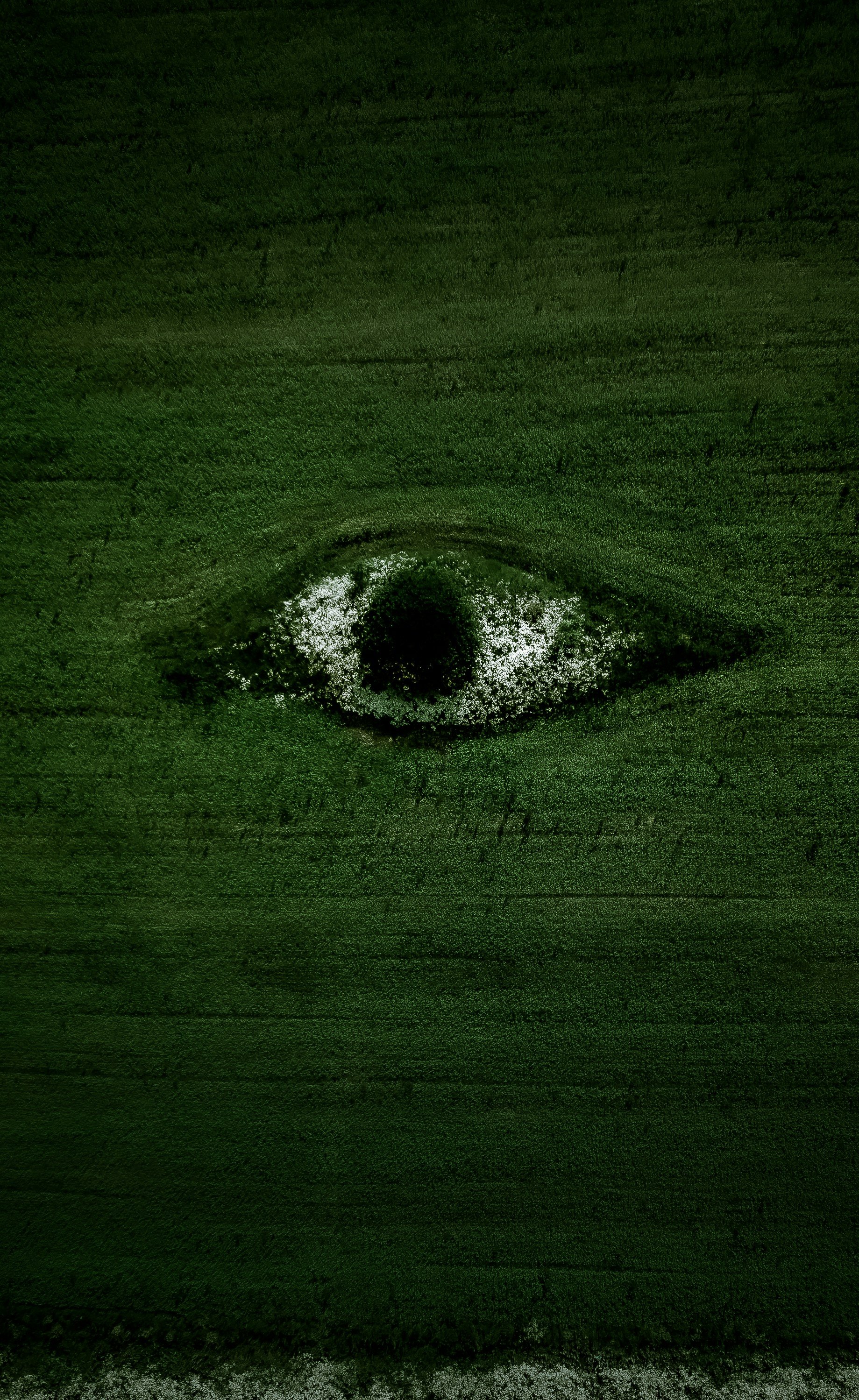 Ongoing Advisory & Regulatory Monitoring