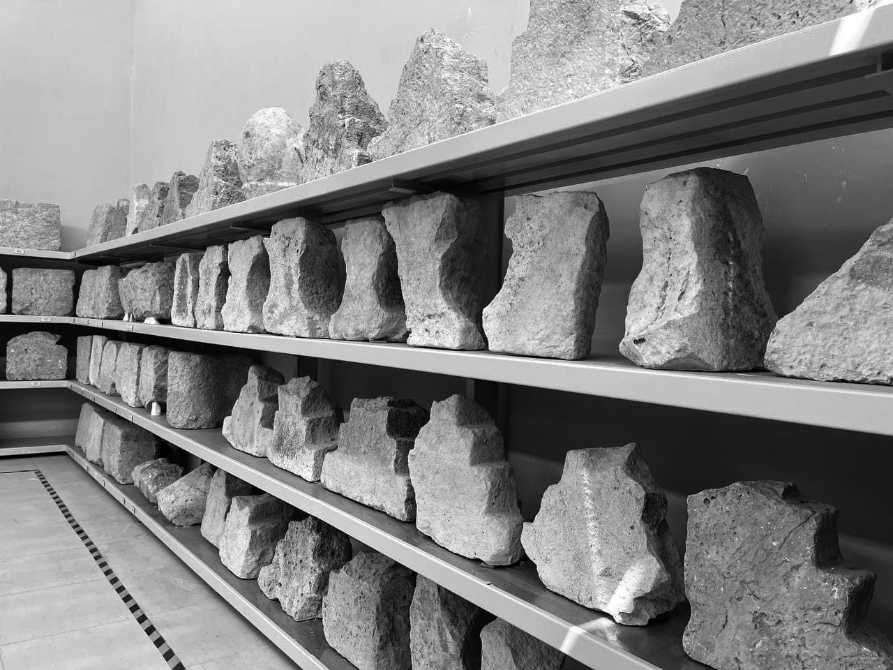 Several rows of large, irregularly shaped rocks or stones on metal shelves in a storage or display area, photographed in black and white.