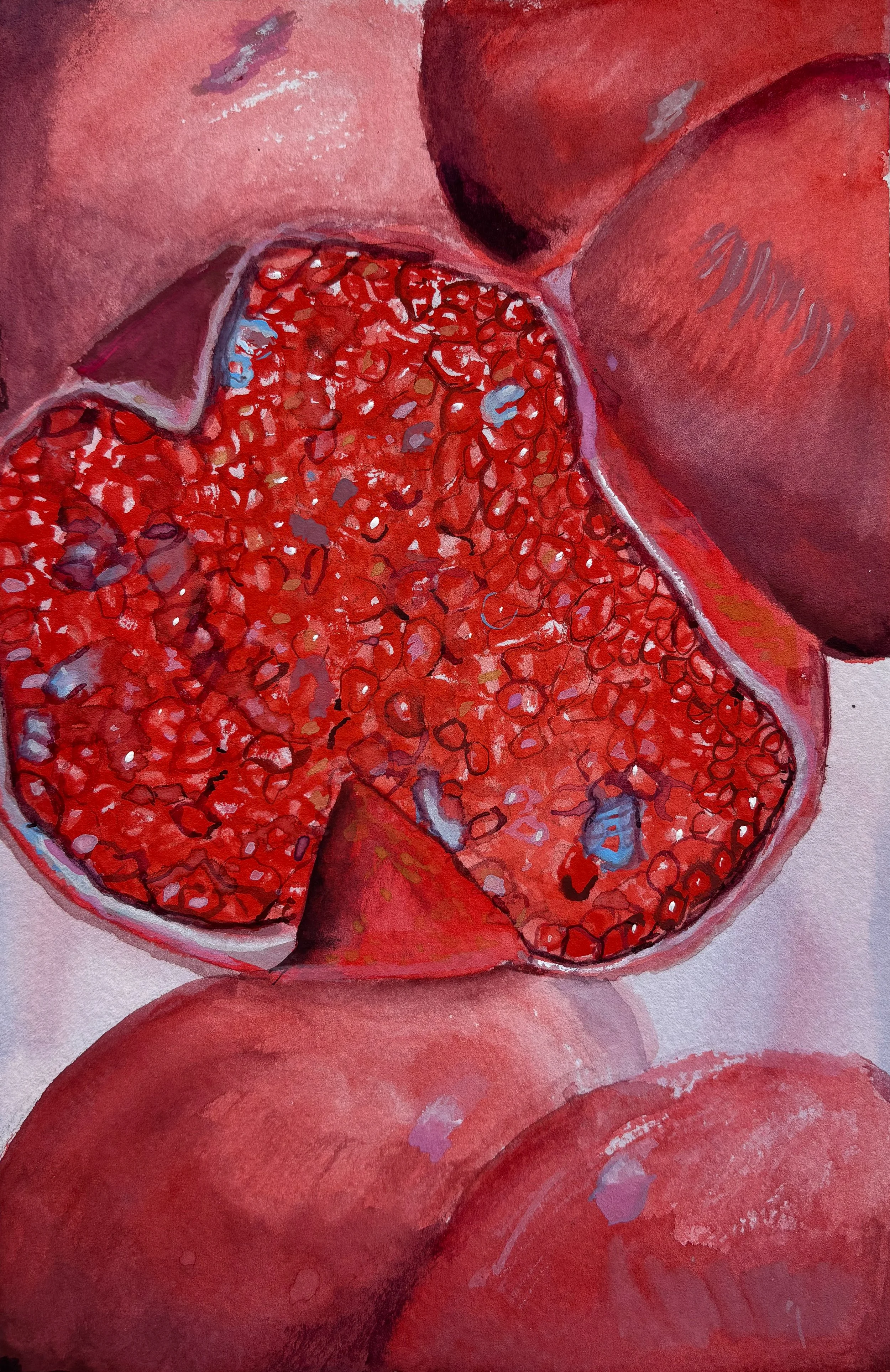 Vibrant Pomegranate Print