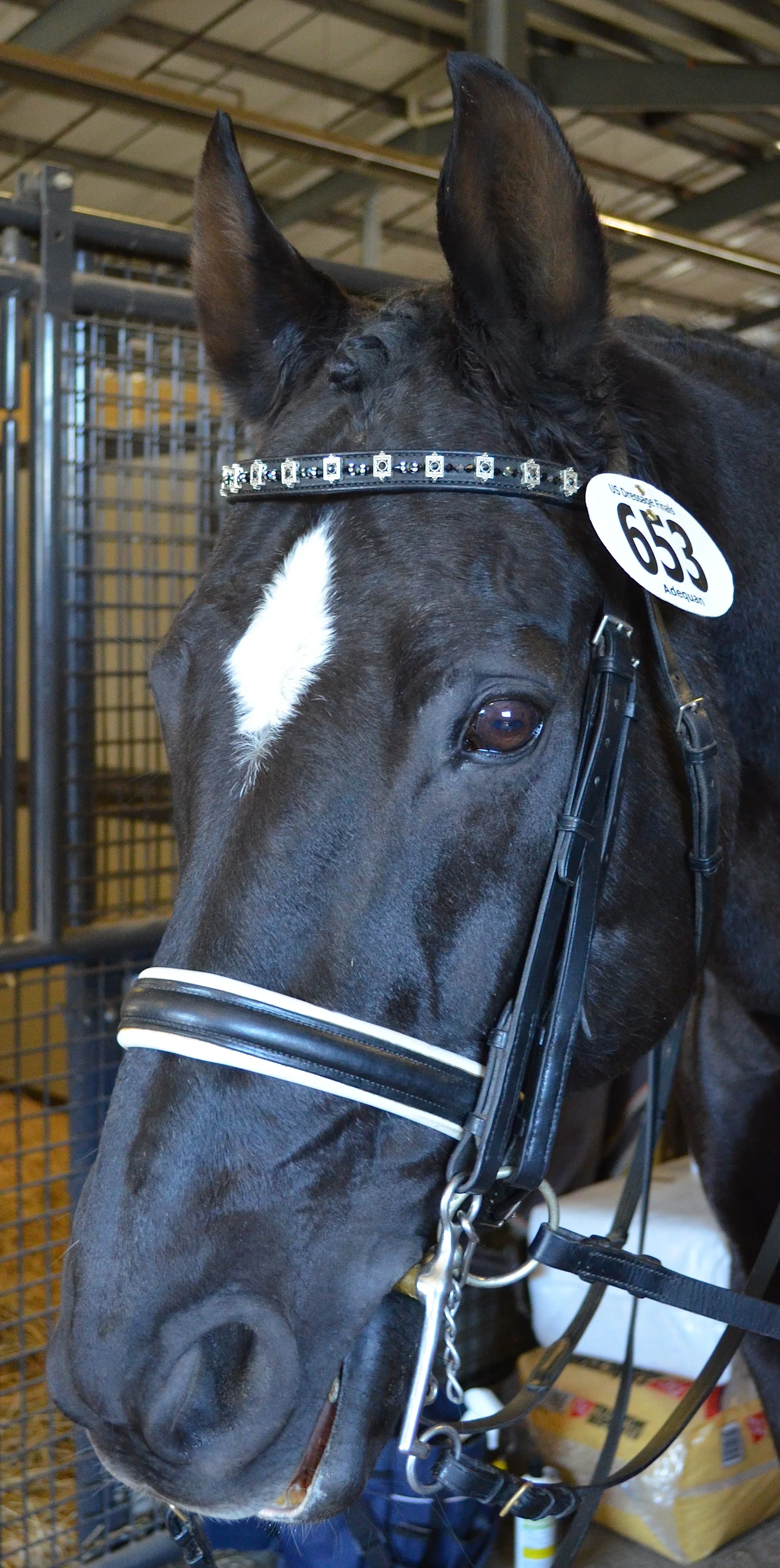 browband page.JPG
