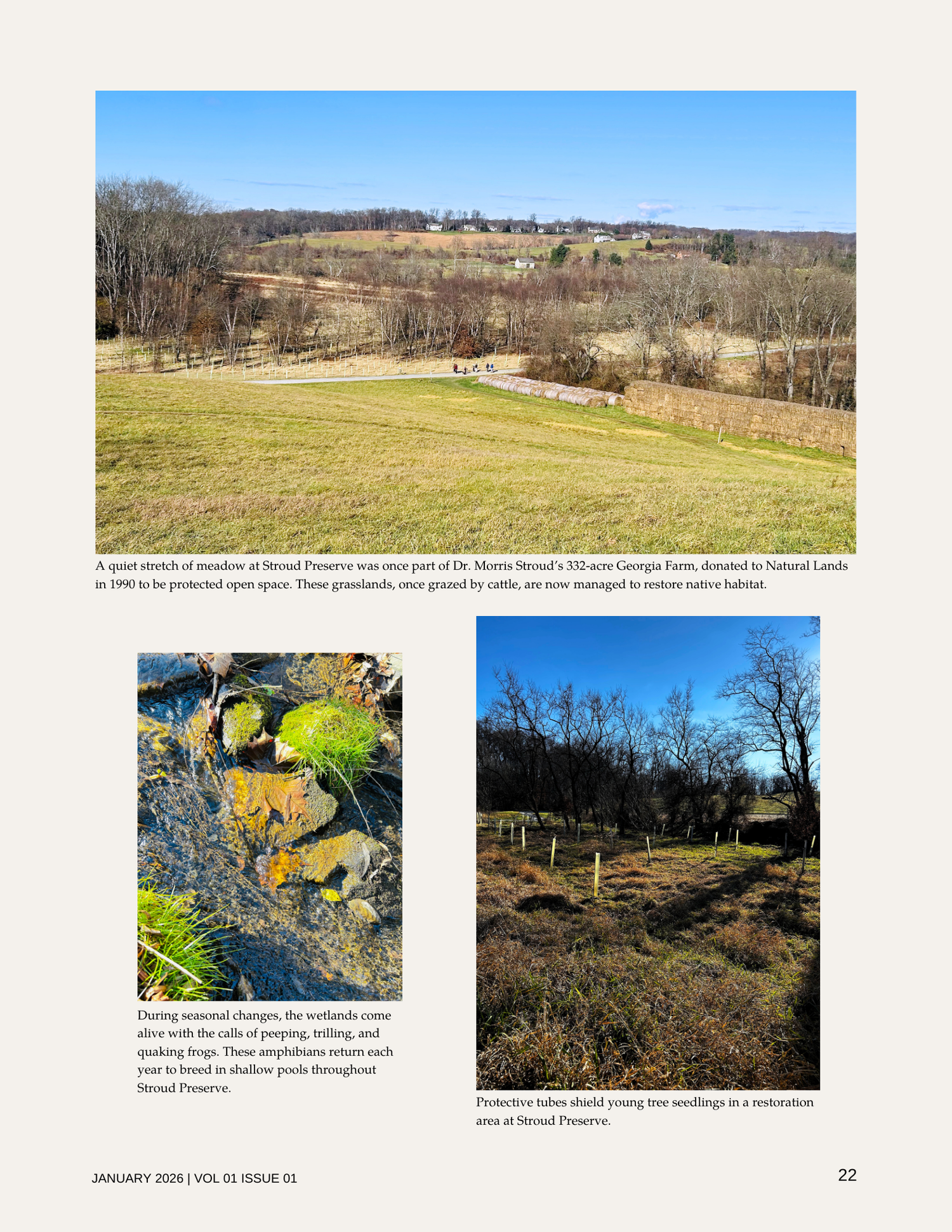 A landscape photo of Stroud Preserve showing grassy meadows, leafless trees, and a clear blue sky with a few clouds.