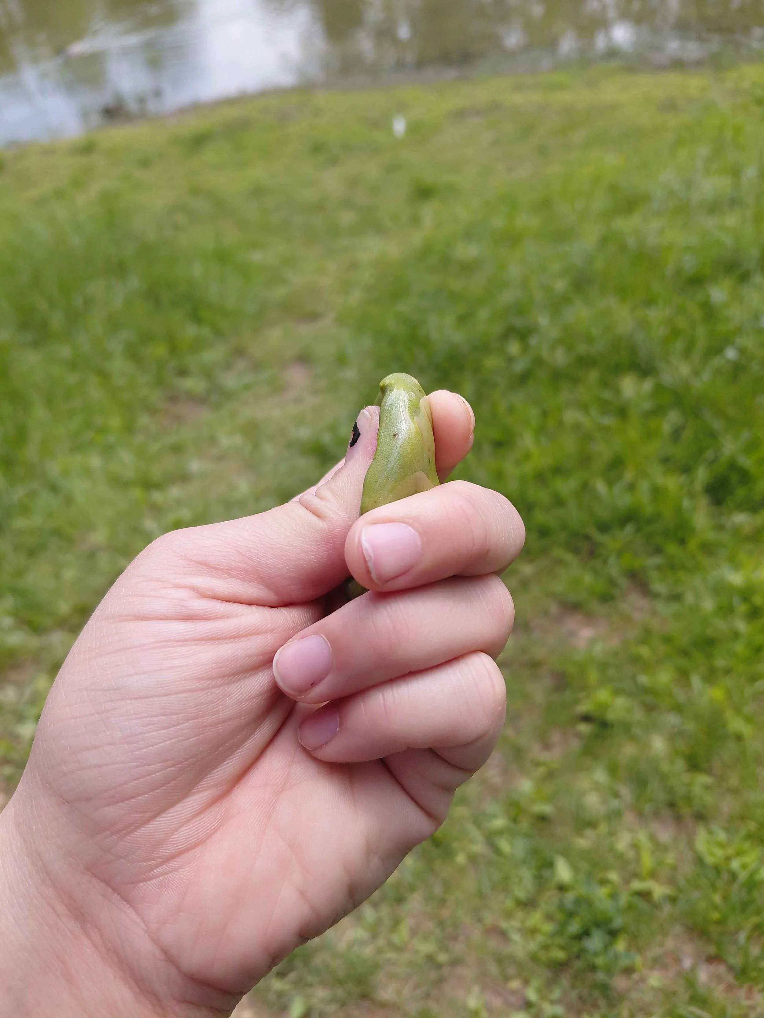 green stone 4.jpg
