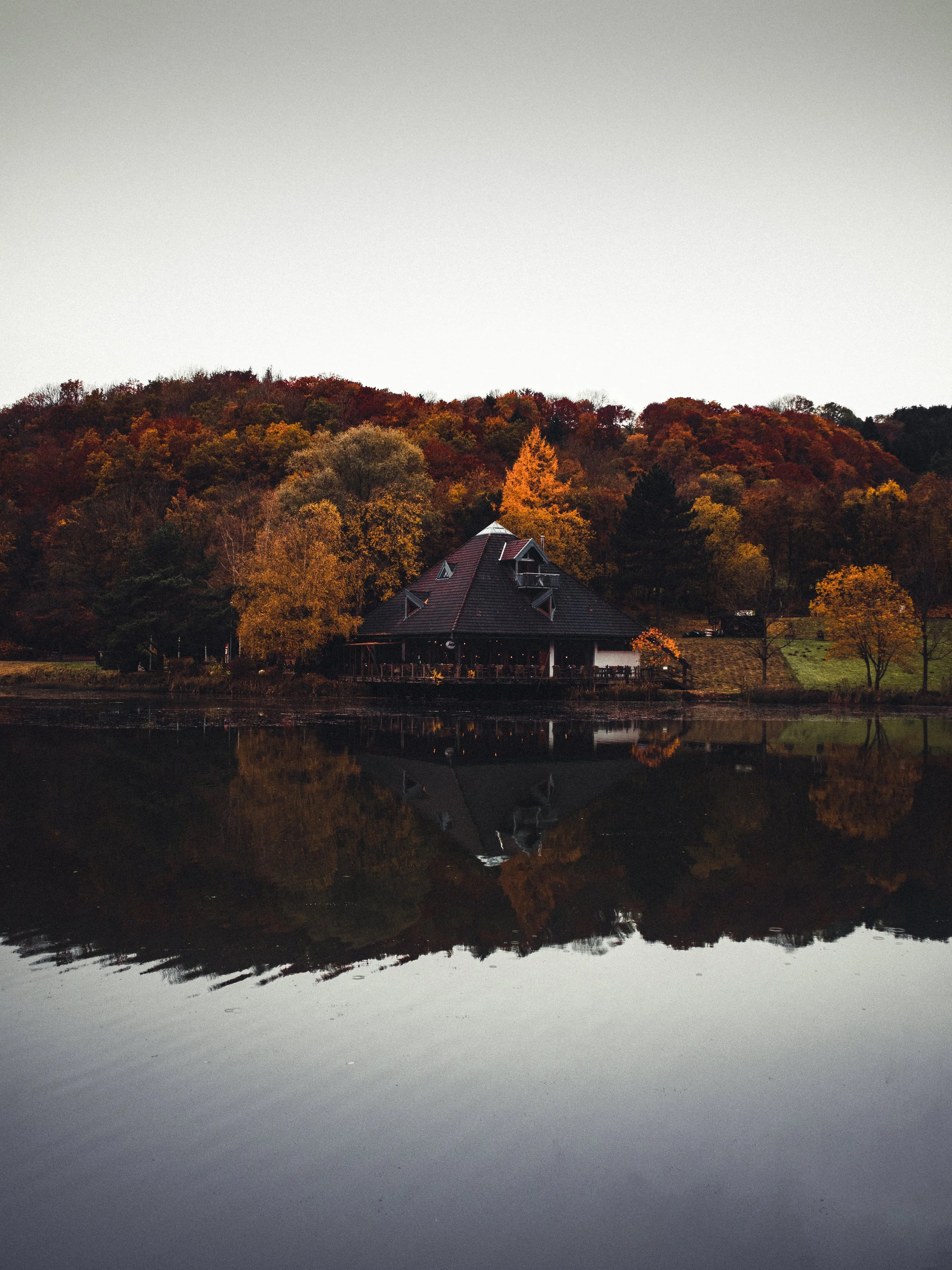 Rieden_Forest Sea_Tobias Steffen_Photography.jpg