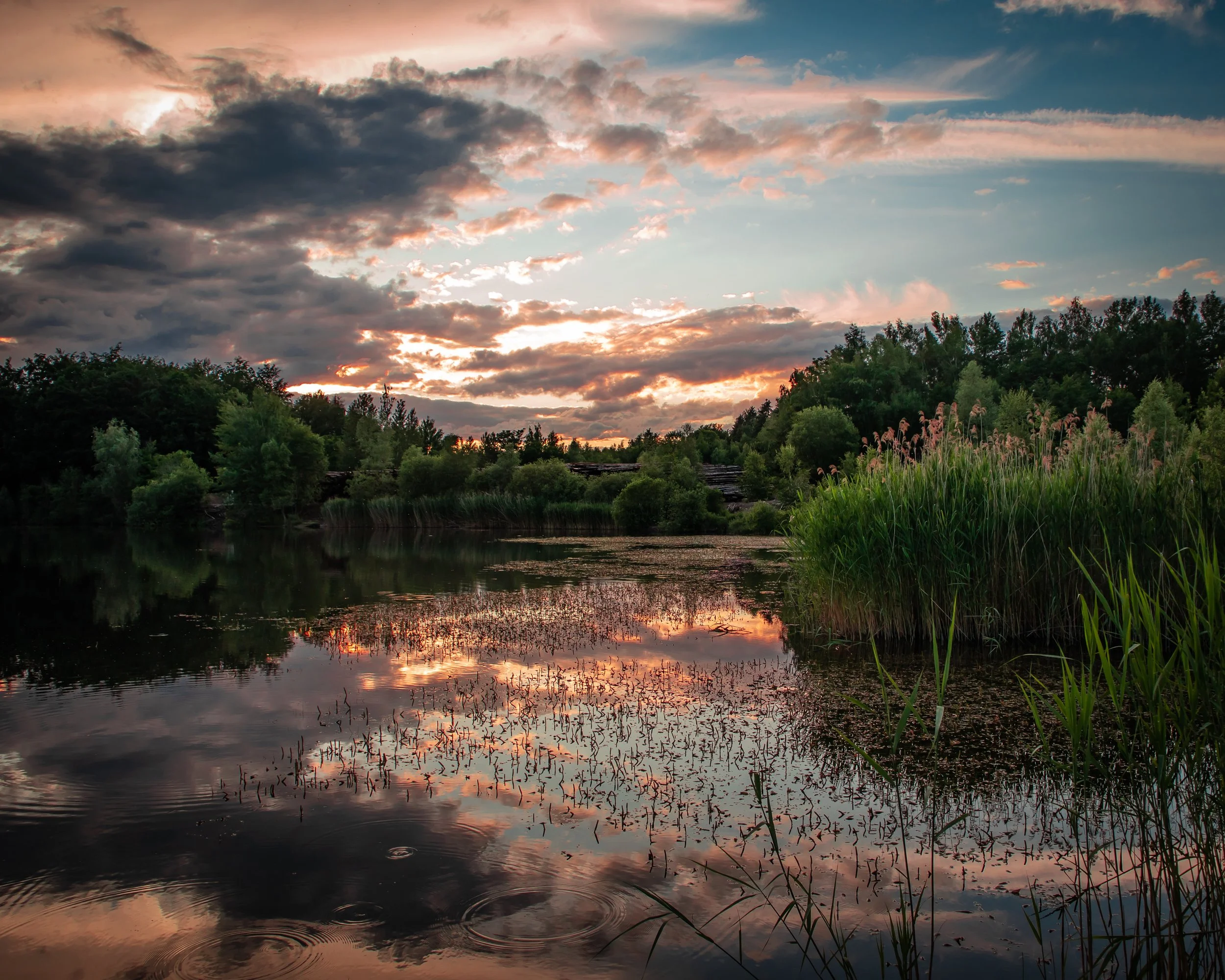 Sundawn_Sea_Self Portrait_Wood_Tobias Steffen_Photography.jpg