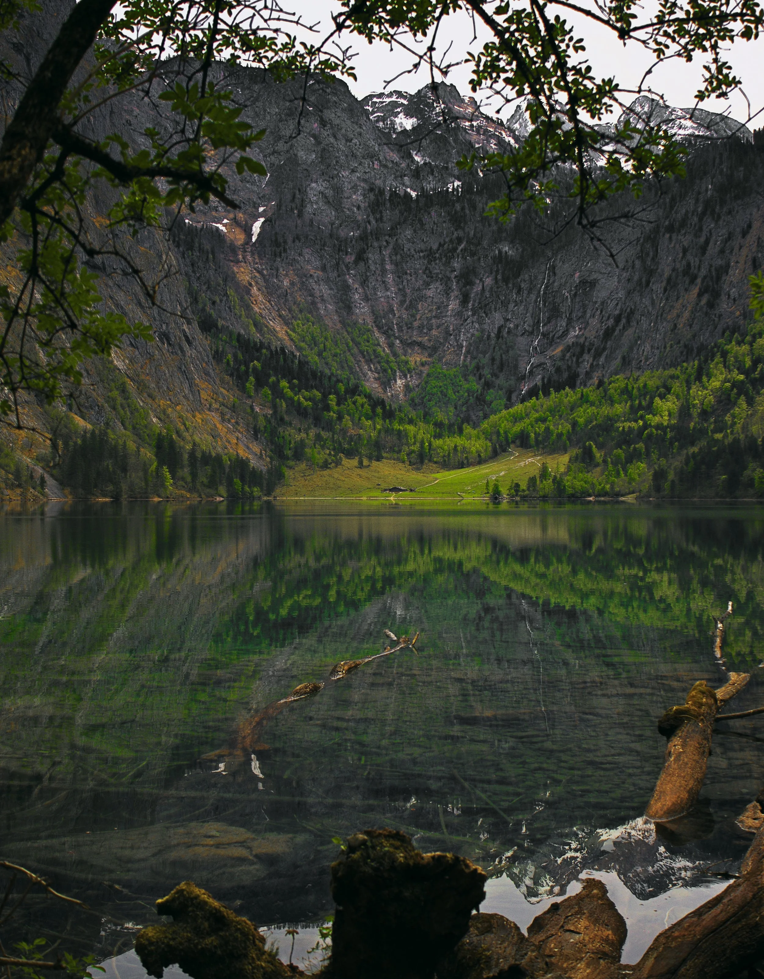 Obersee im Frühling. Eingerahmt von Treibholz und Ästen. Spiegelung der Landschaft im Gewässer.