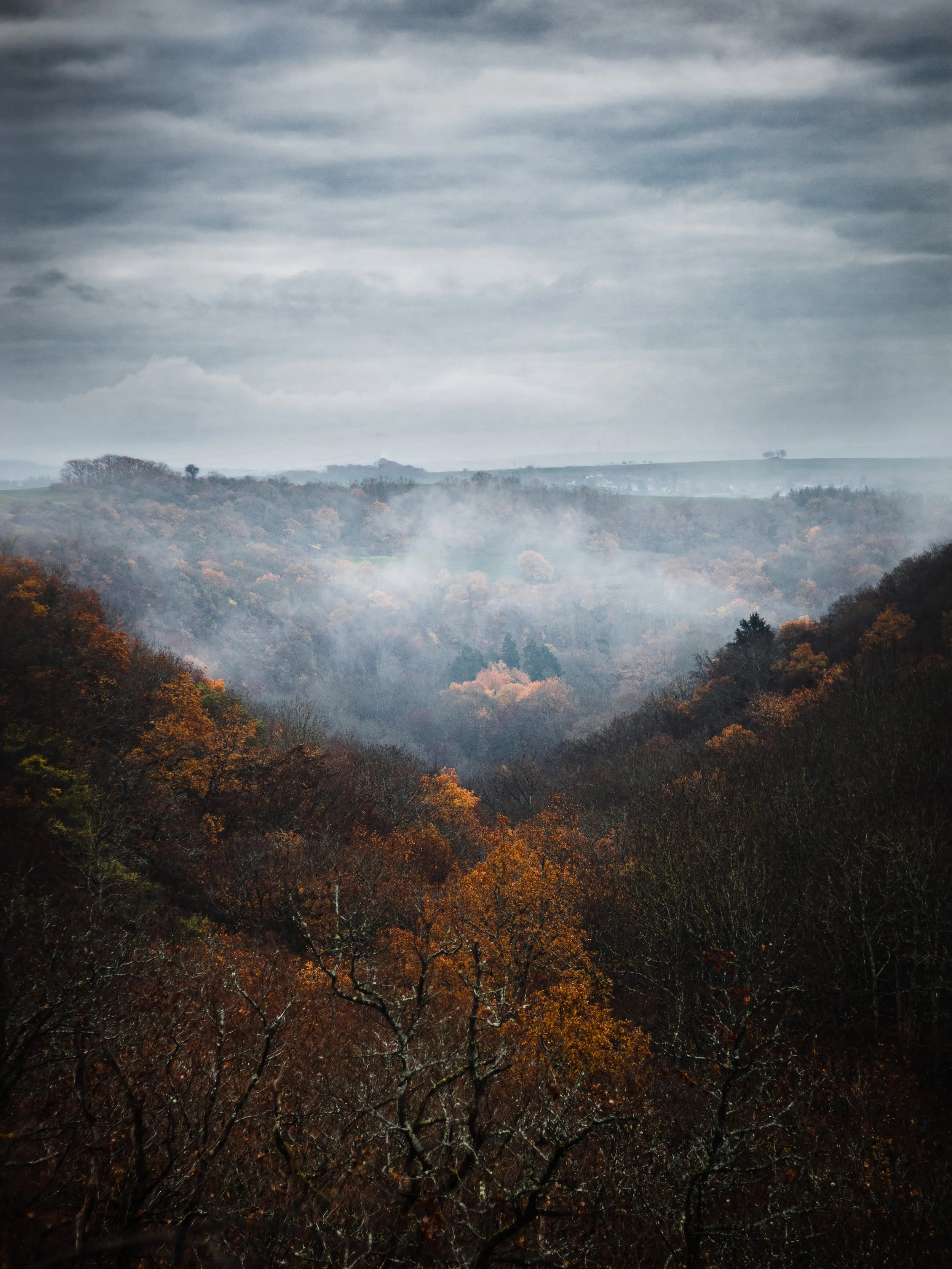 Eifel_Autumn_Tobias Steffen_Photography.jpg