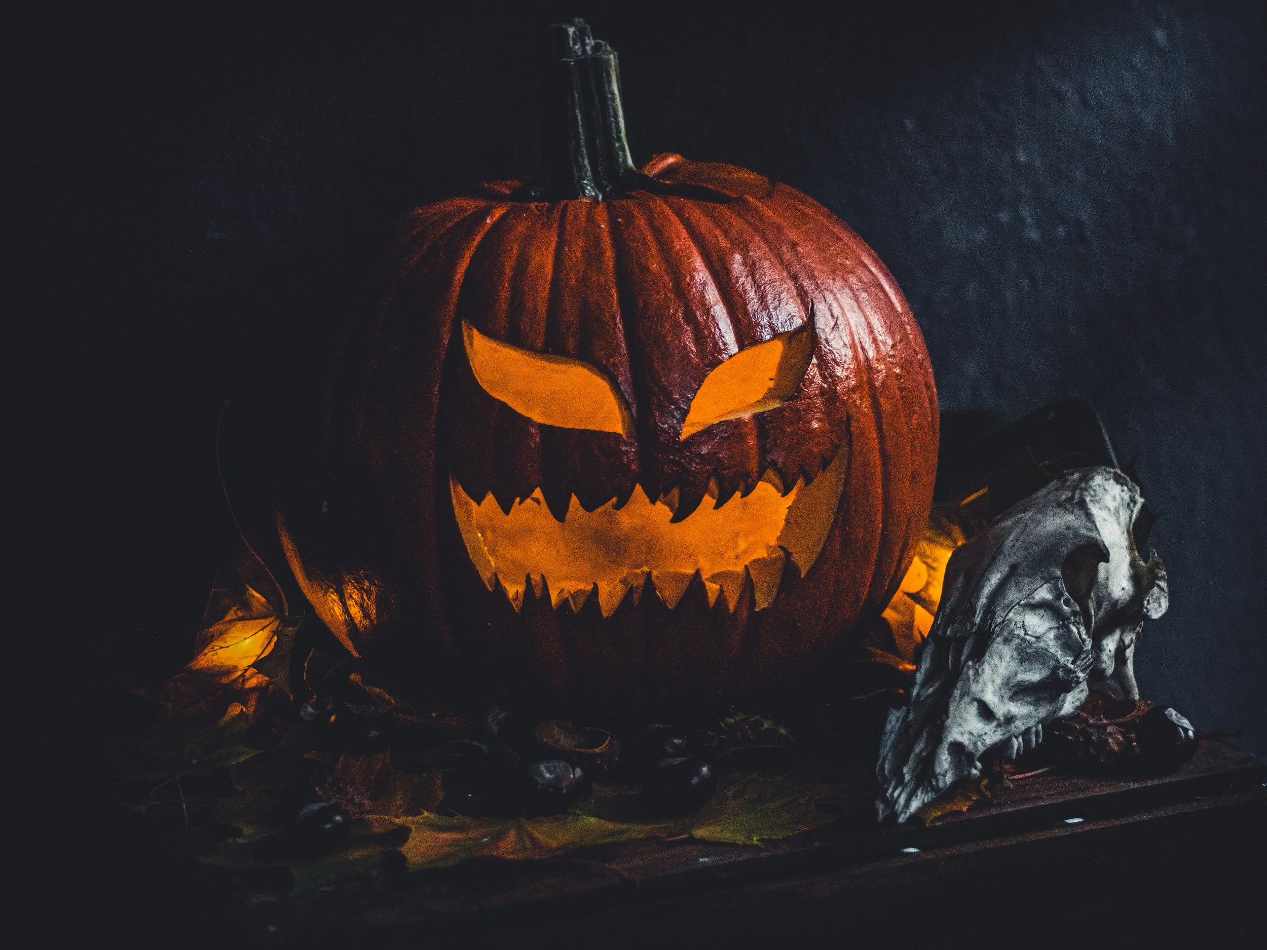 Halloween Pumpkin_Tobias Steffen_Photography.jpg