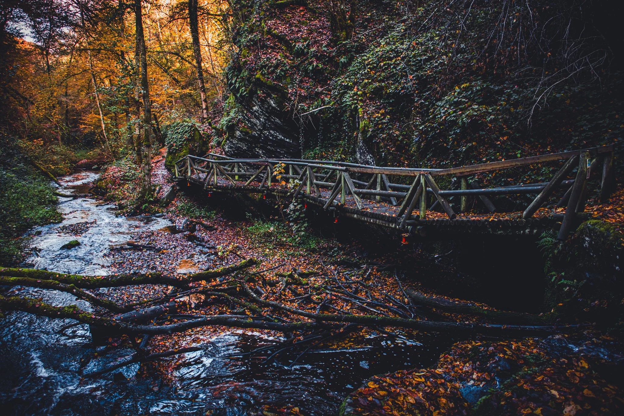 Autumn_Gorge_Colorful_Tobias Steffen_Photography.jpg