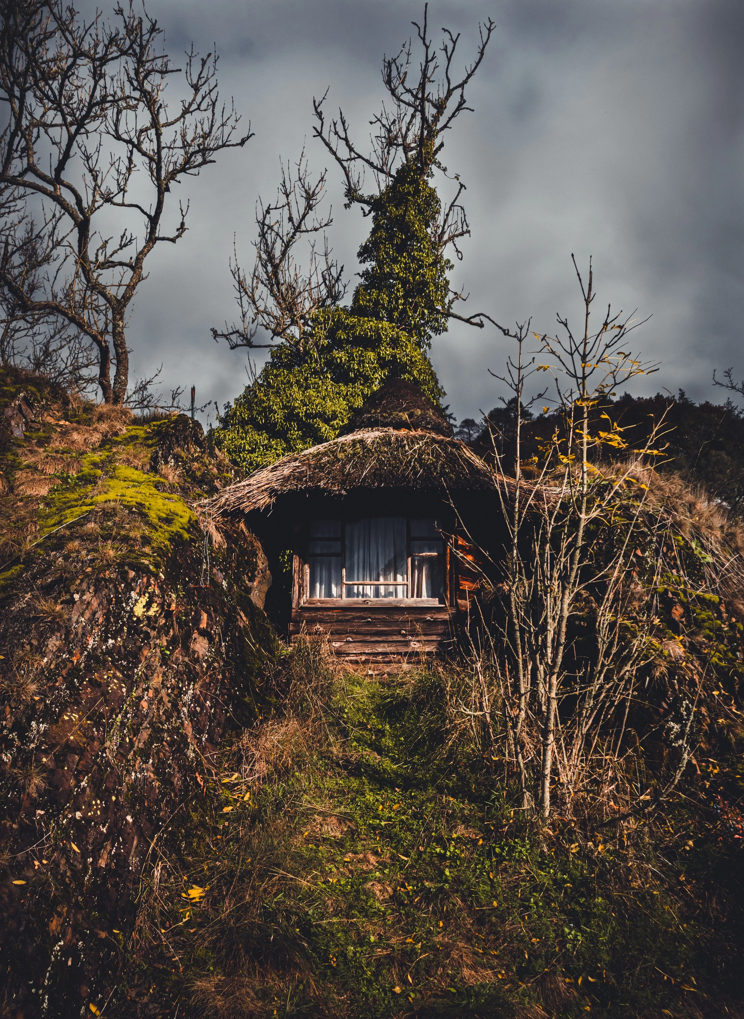 House of the hermit_Tobias Steffen_Photography.jpg
