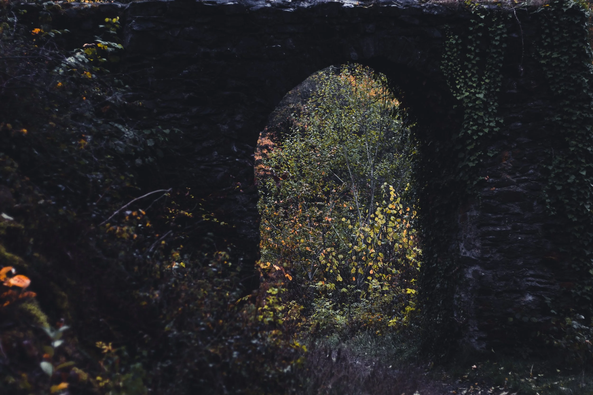 Manderscheid_Lost Gate_Tobias Steffen_Photography.jpg
