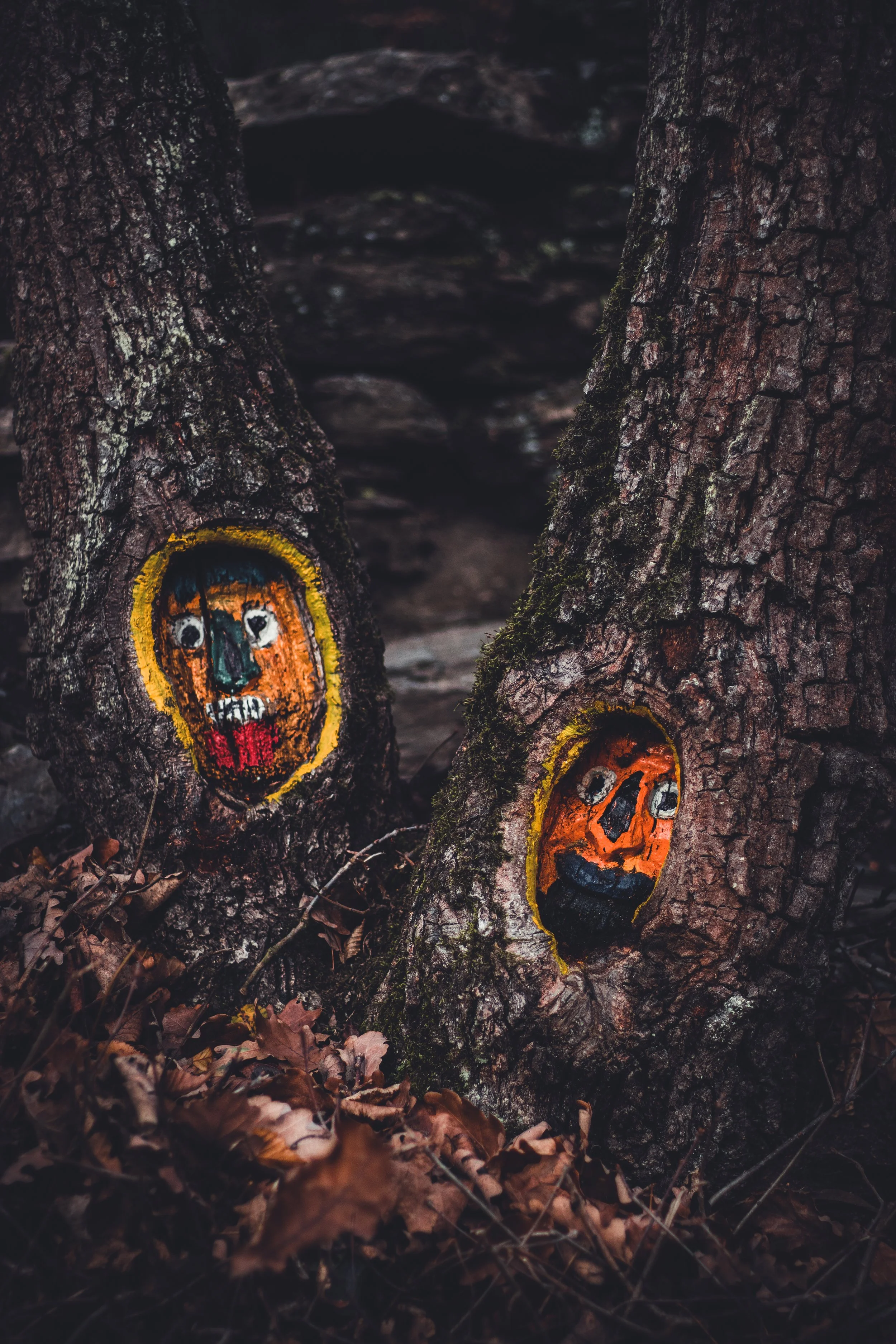 Forest Ghosts_Tobias Steffen_Photography.jpg