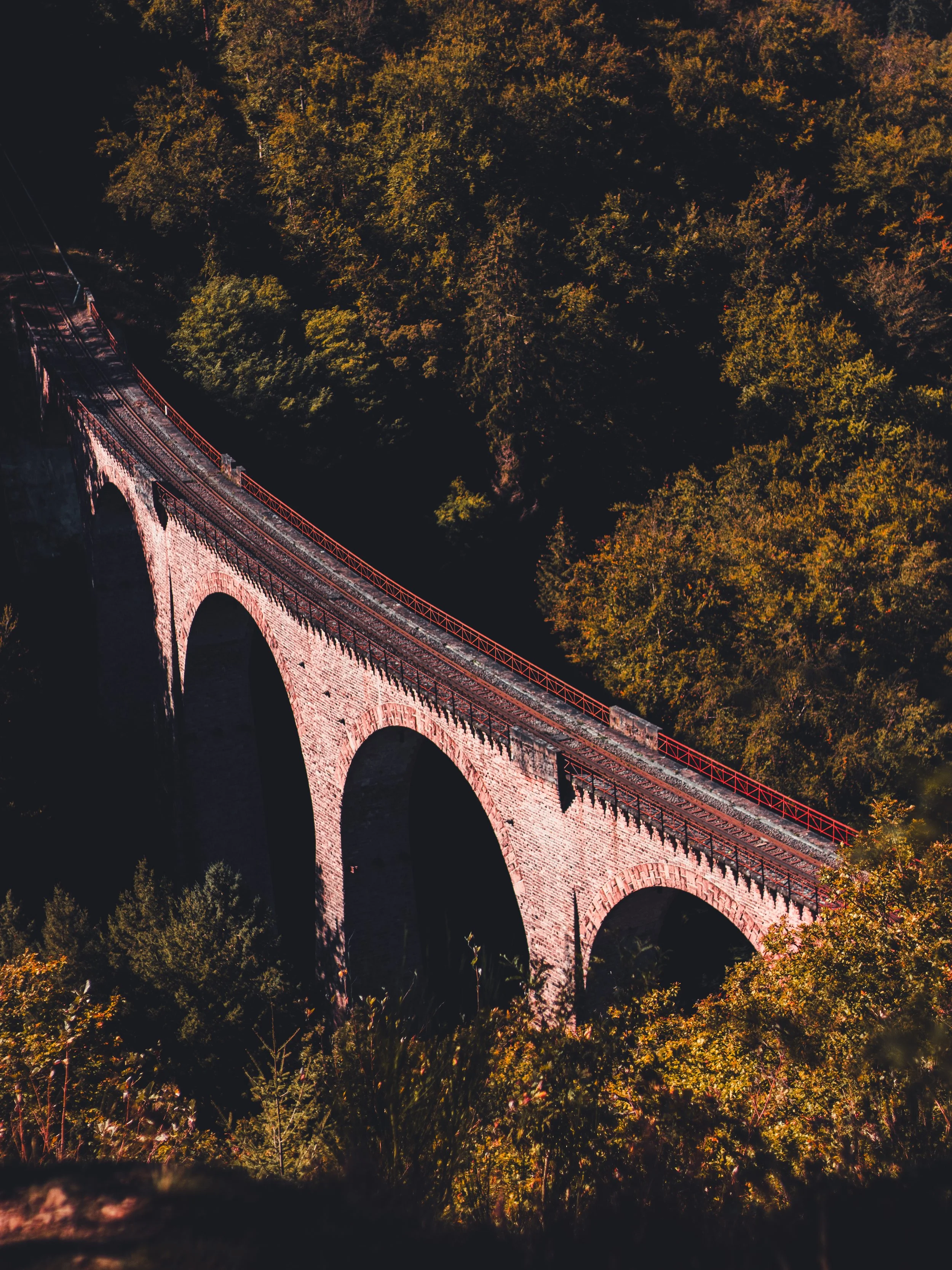 Bridge in the woods_Tobias Steffen_Photography.jpg