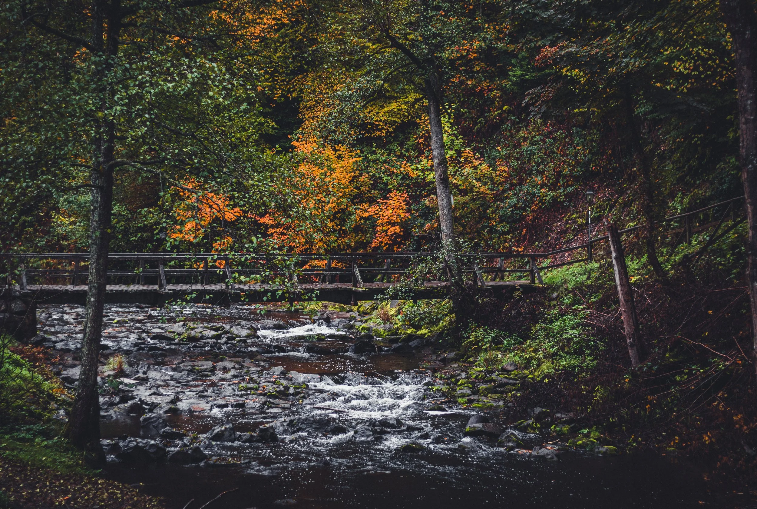 Manderscheid_River through the Autumun Forest_Tobias Steffen_Photography.jpg