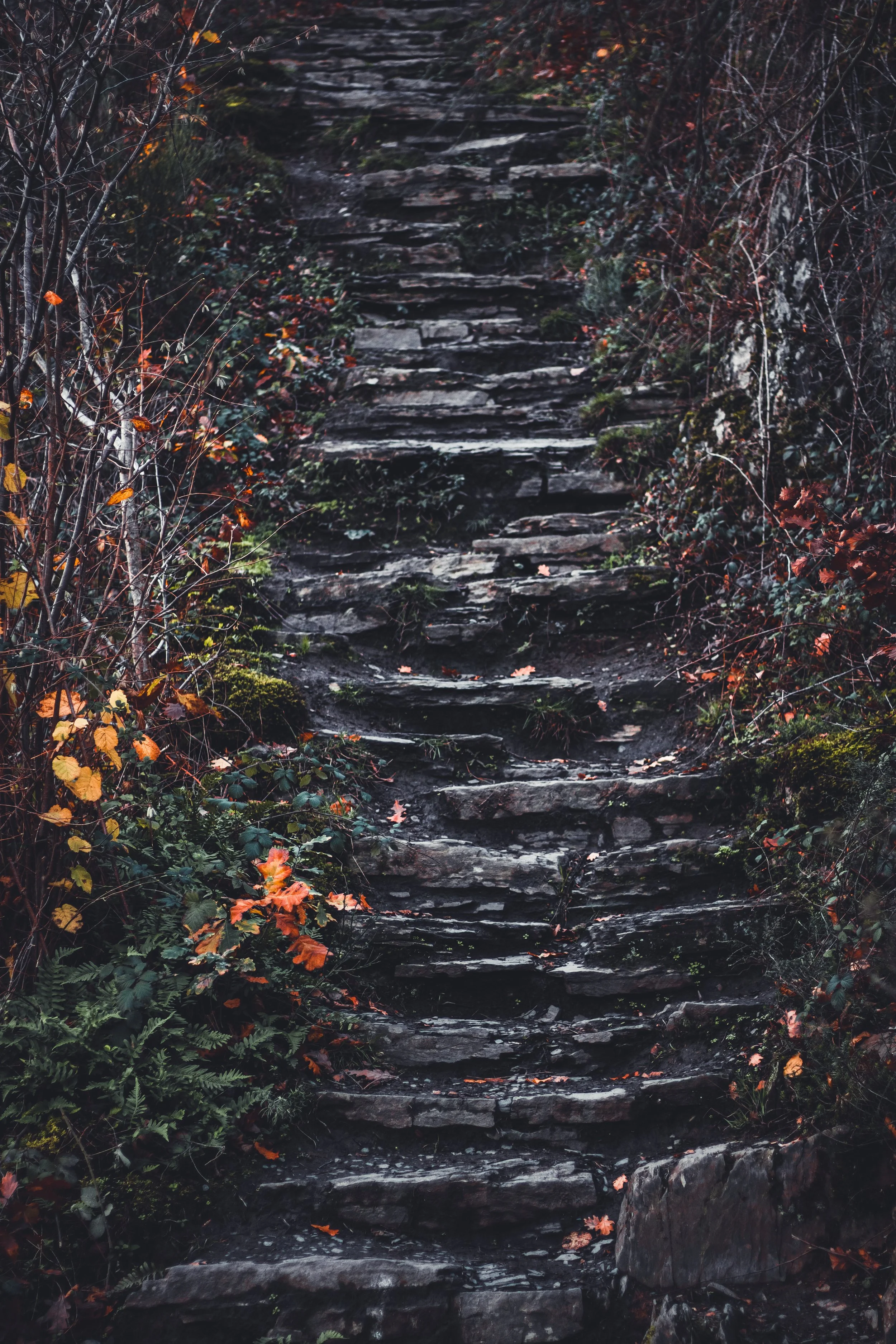 Mysterious stairs_Tobias Steffen_Photography.jpg