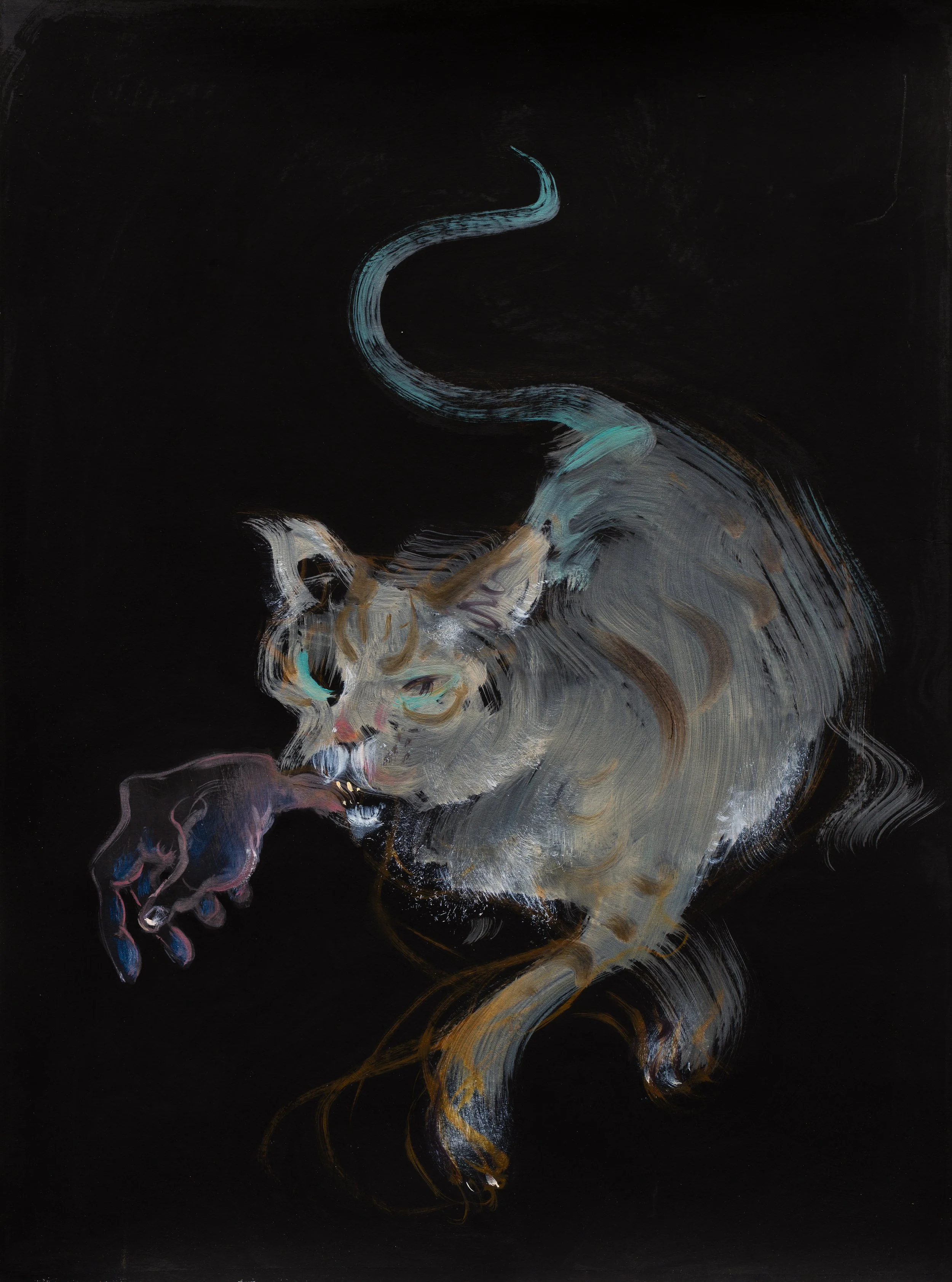 Cat with Hand -  Oil on paper - 68x51cm 2025 
