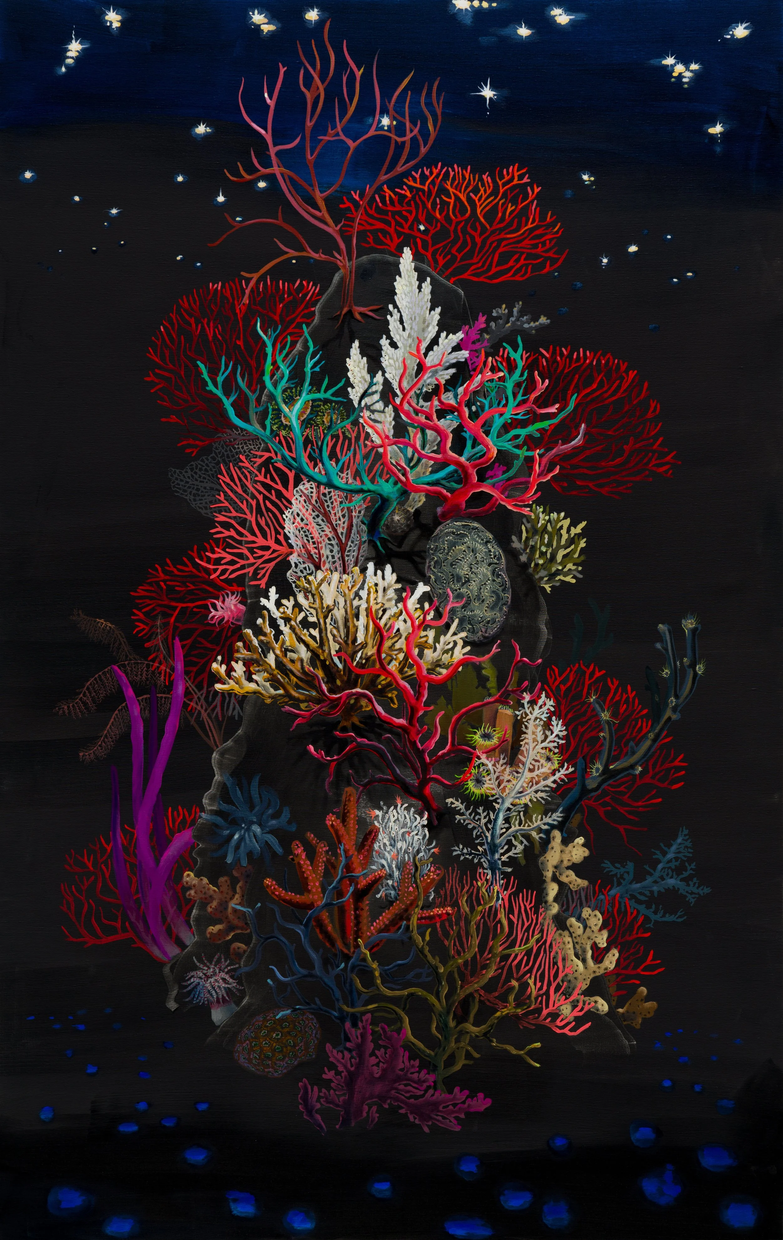 Dead Man’s Fingers (Under Stars) –  oil on linen 220x250cm 2020 
