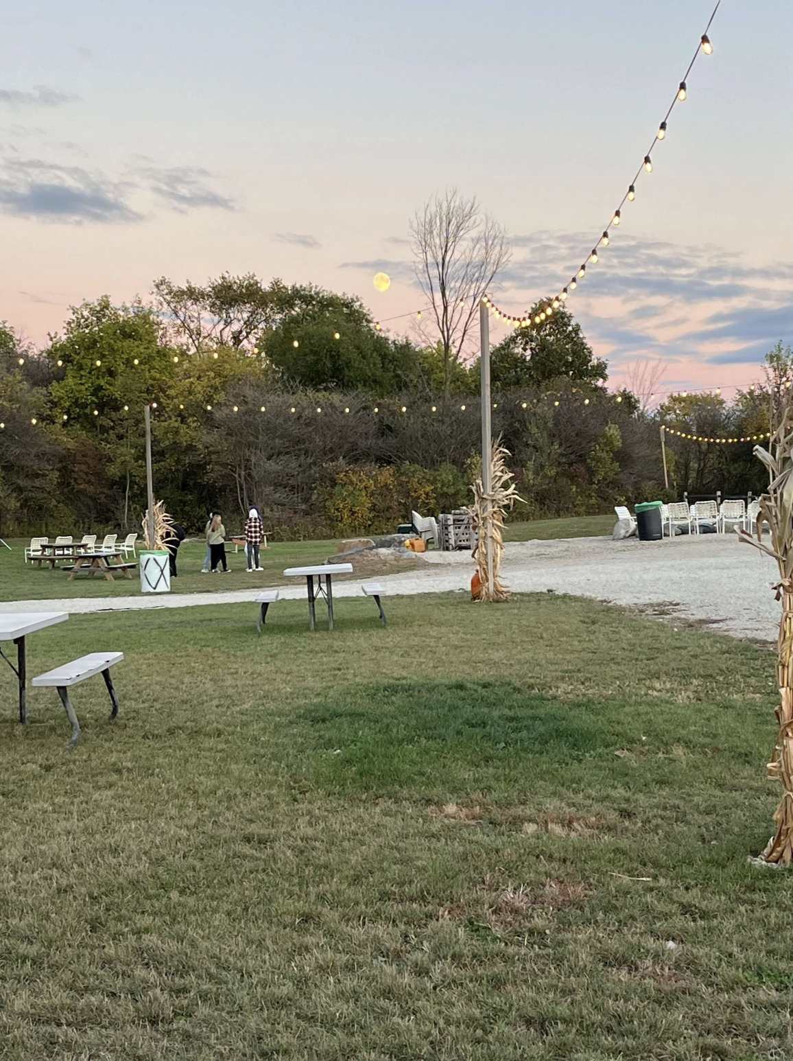 An outdoor event space with string lights hanging overhead, decorated with corn stalks, and a few people gathered near trees, with a pastel-colored sky and a full moon in the background.