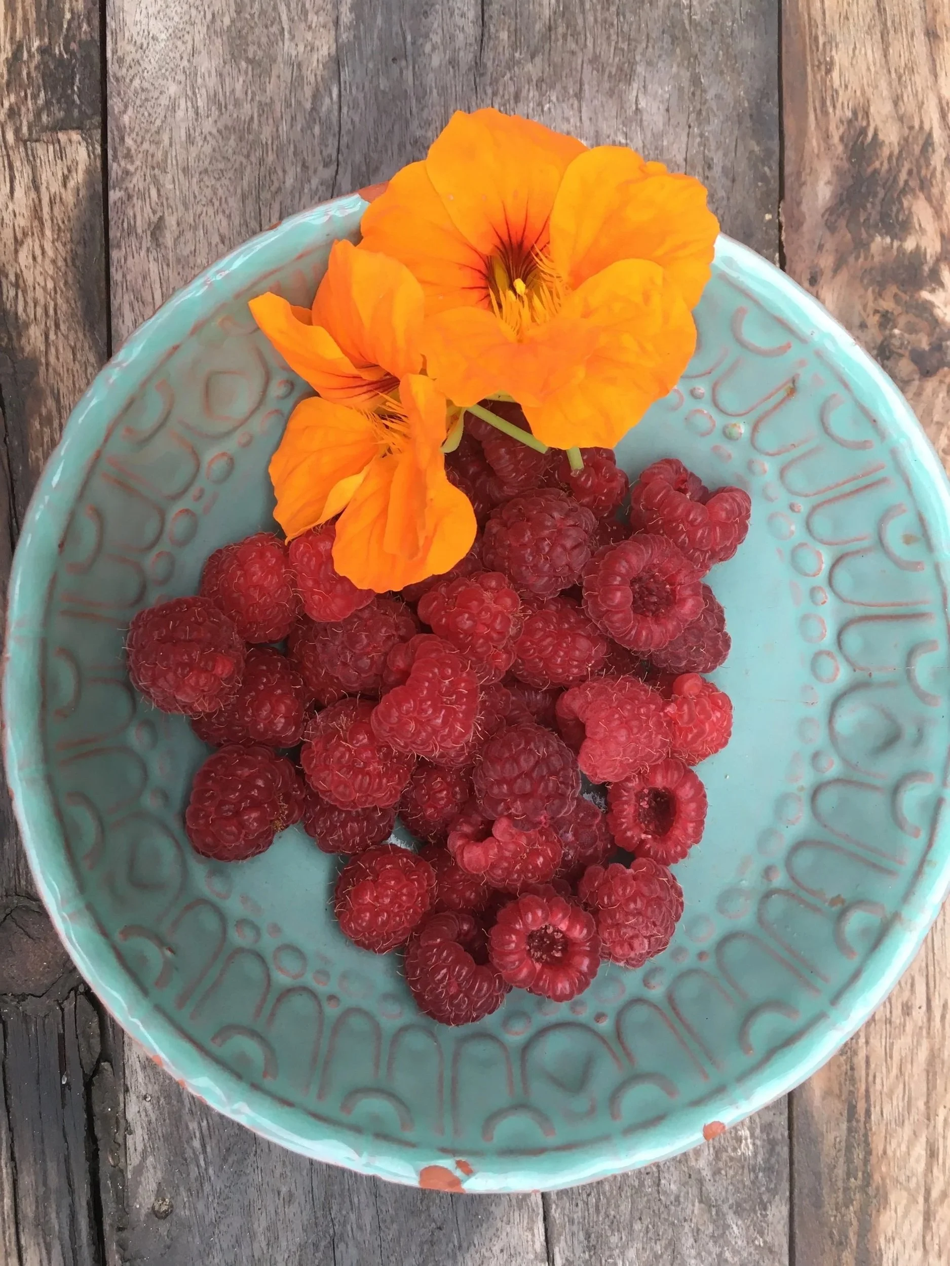 Gifts from the Garden