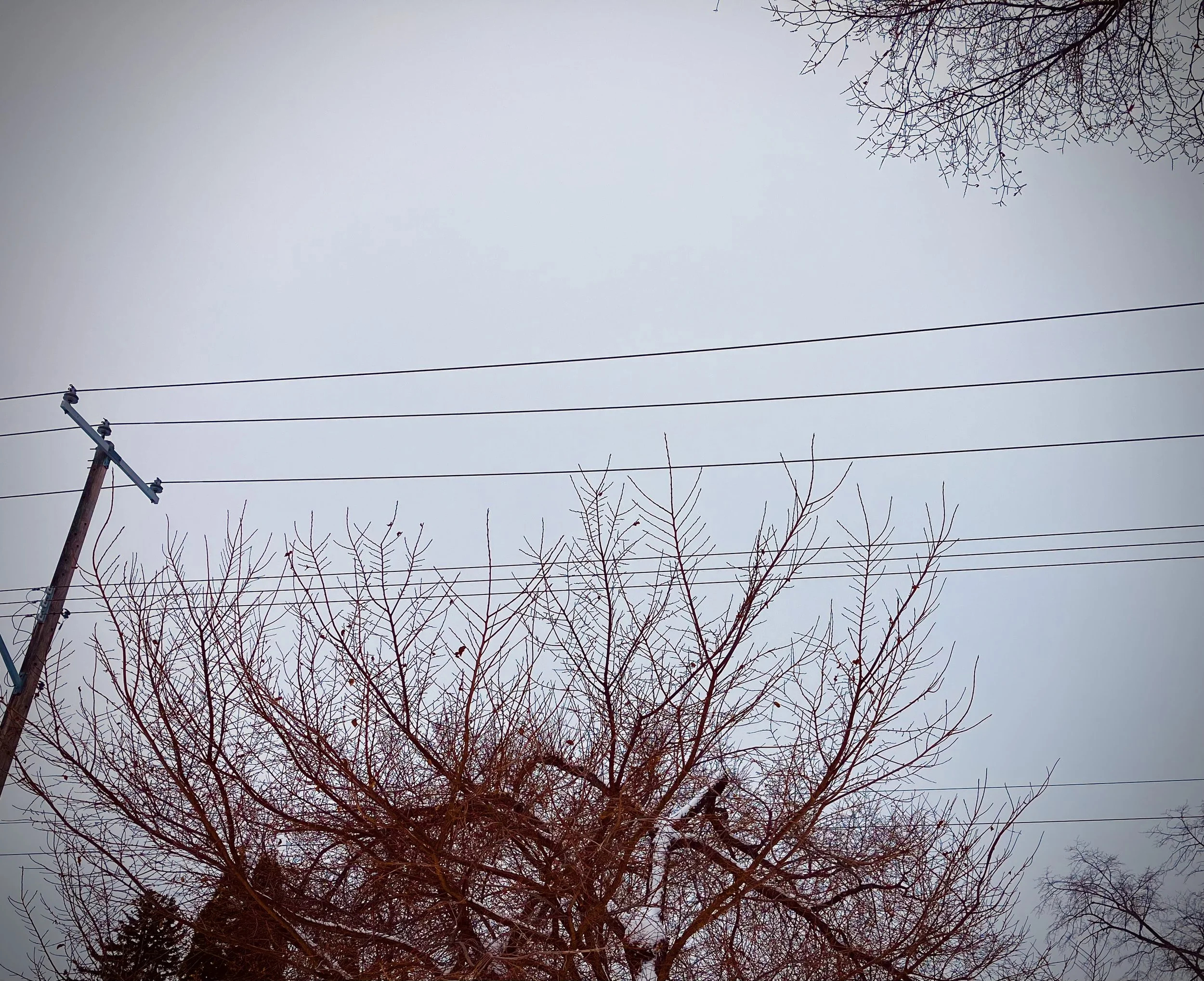 The world outside my window.