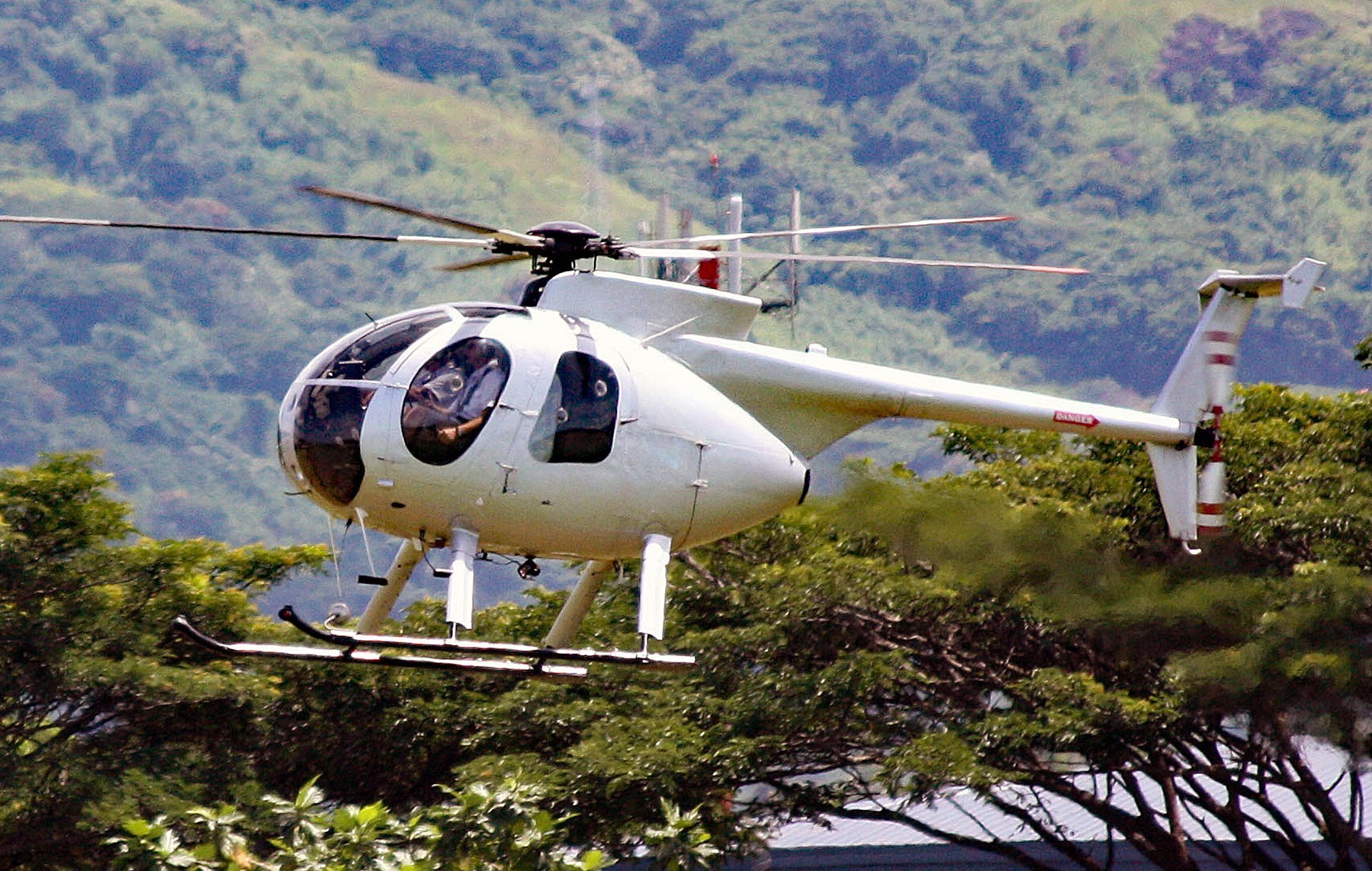 Untitled design (2).png