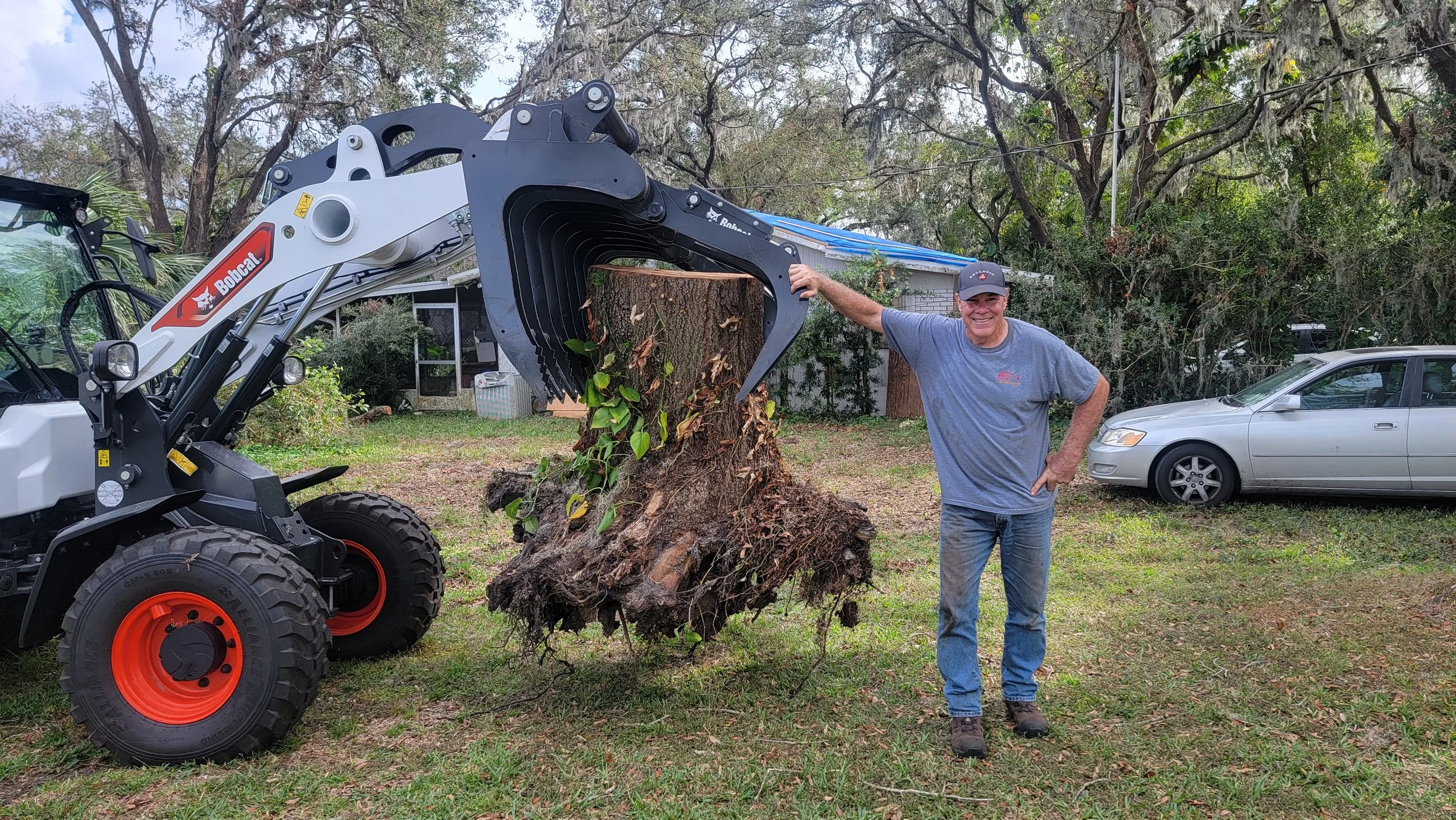 Tom Removing the Big Tree.