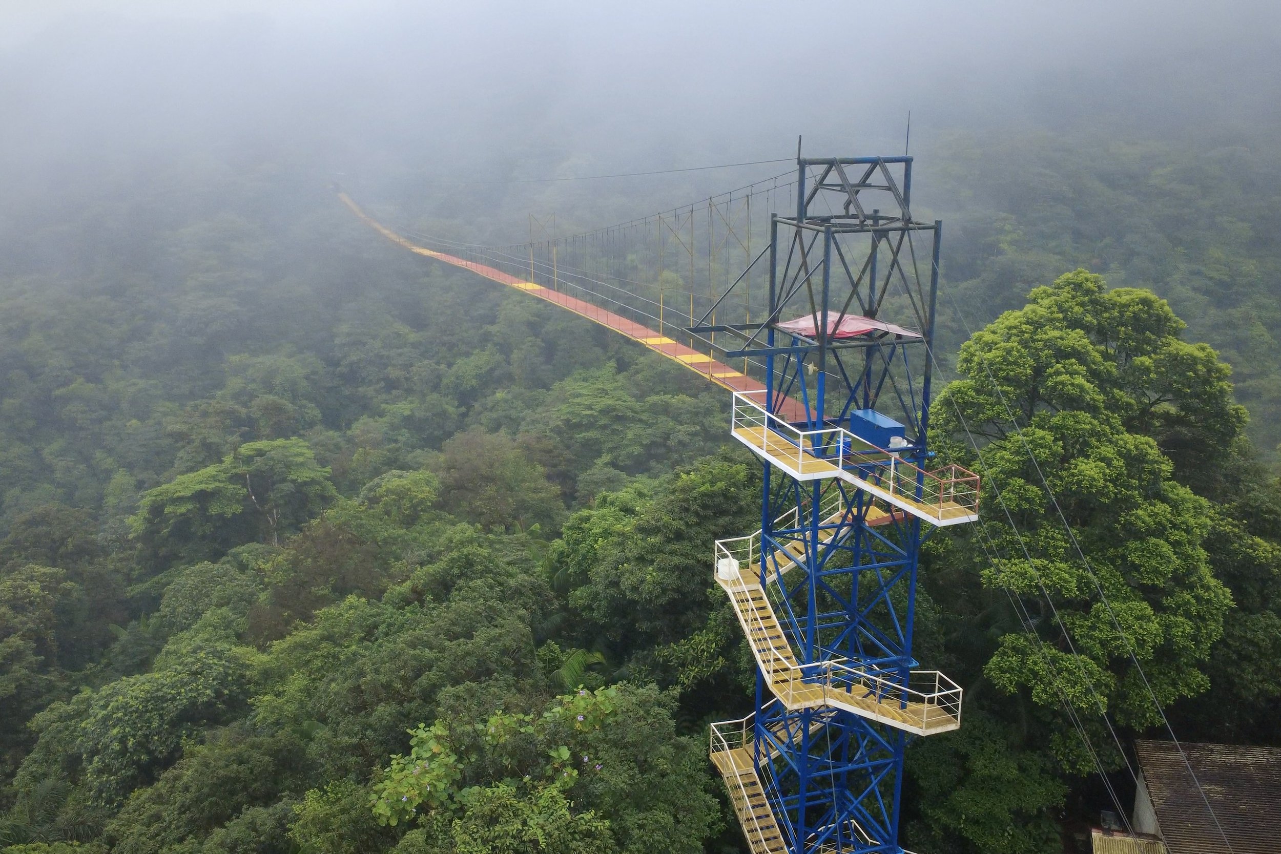 Tall suspension bridge with a blue tower, colorful walkway, and surrounding lush green forest, shrouded in fog.