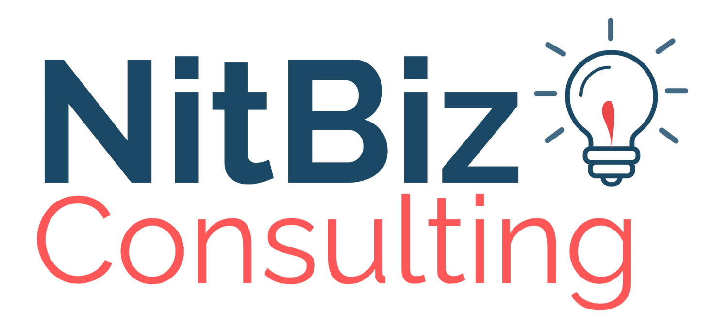 NitBiz Consulting
