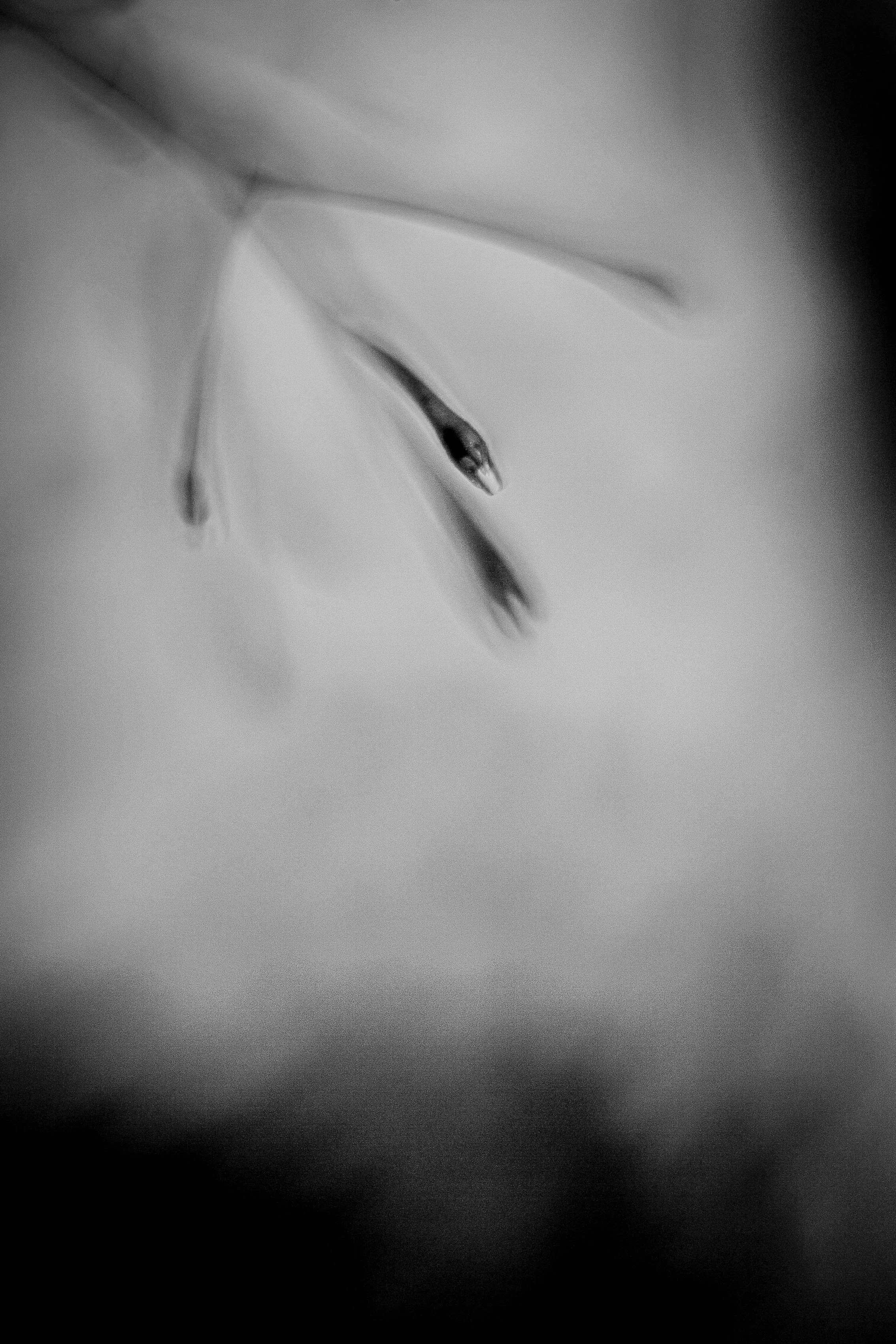 HM9U3968+copy+2.jpg