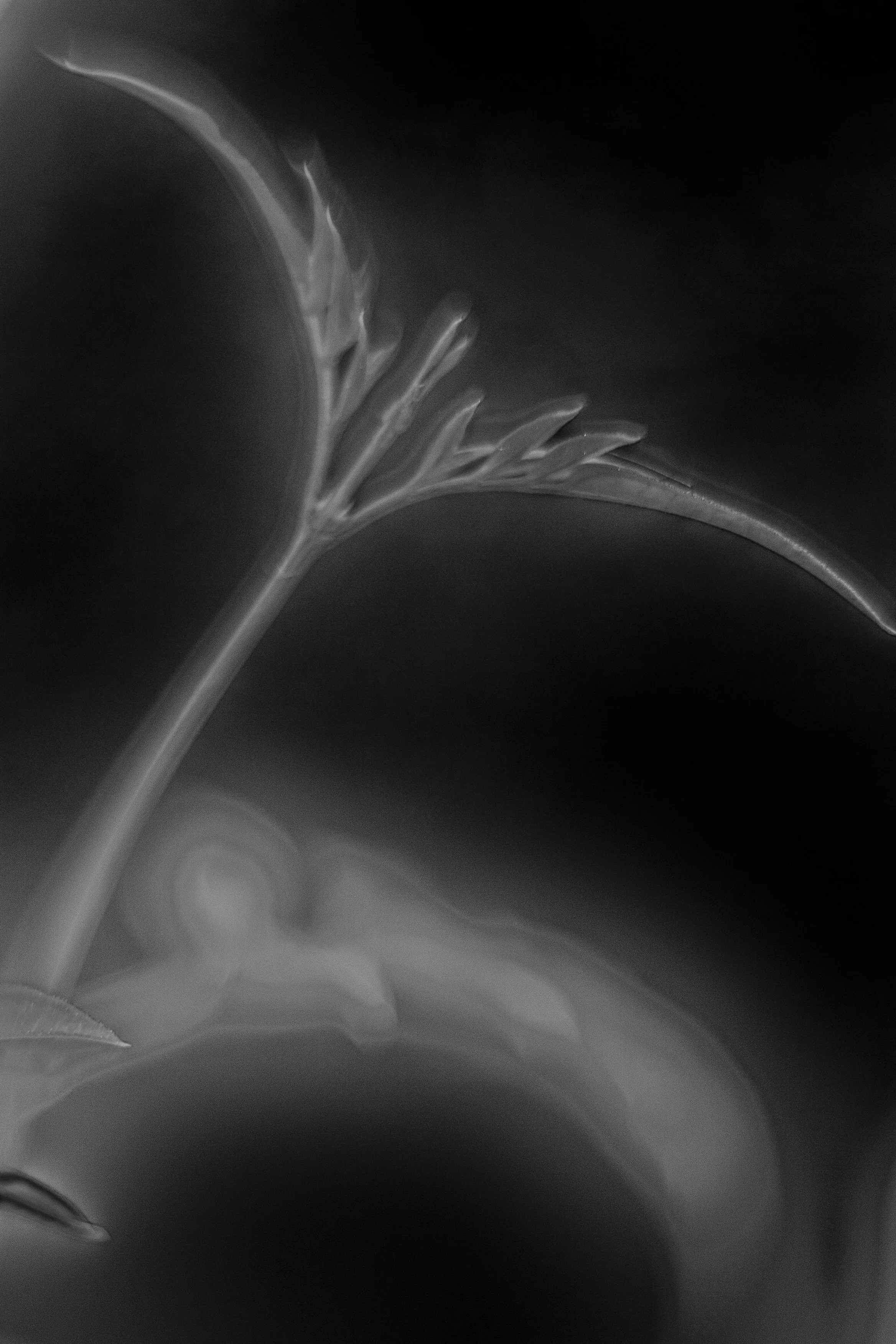 HM9U3963+copy+2.jpg