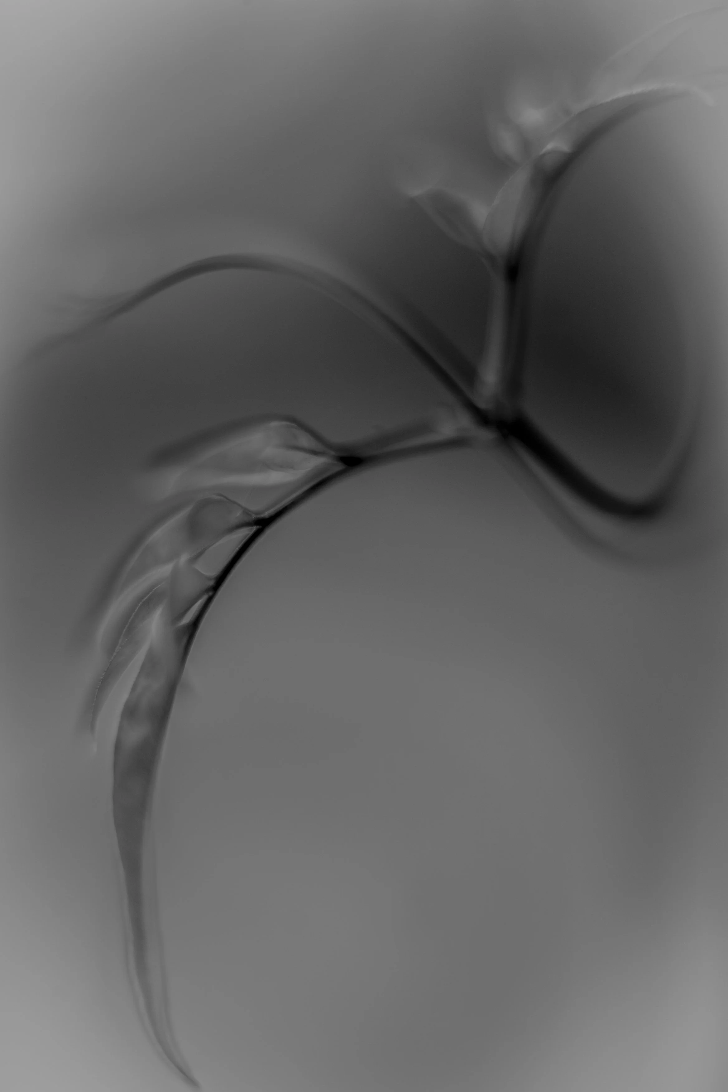 HM9U4297 copy 2.jpg