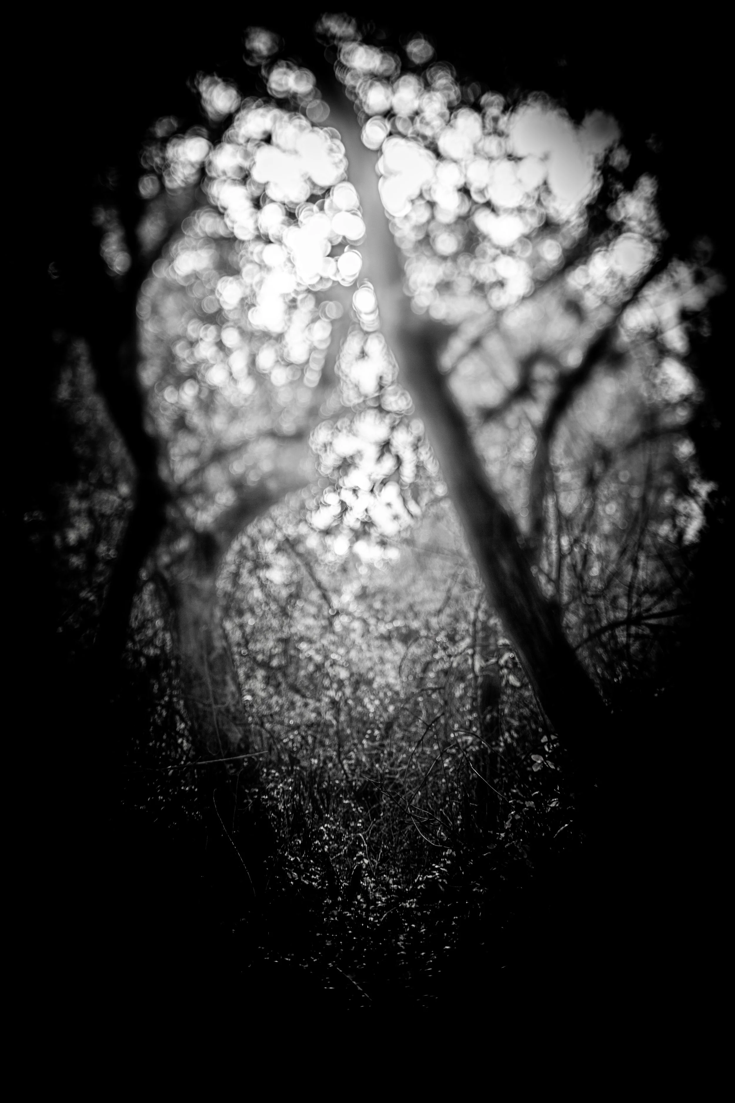 DarkTunnel1 copy.jpg