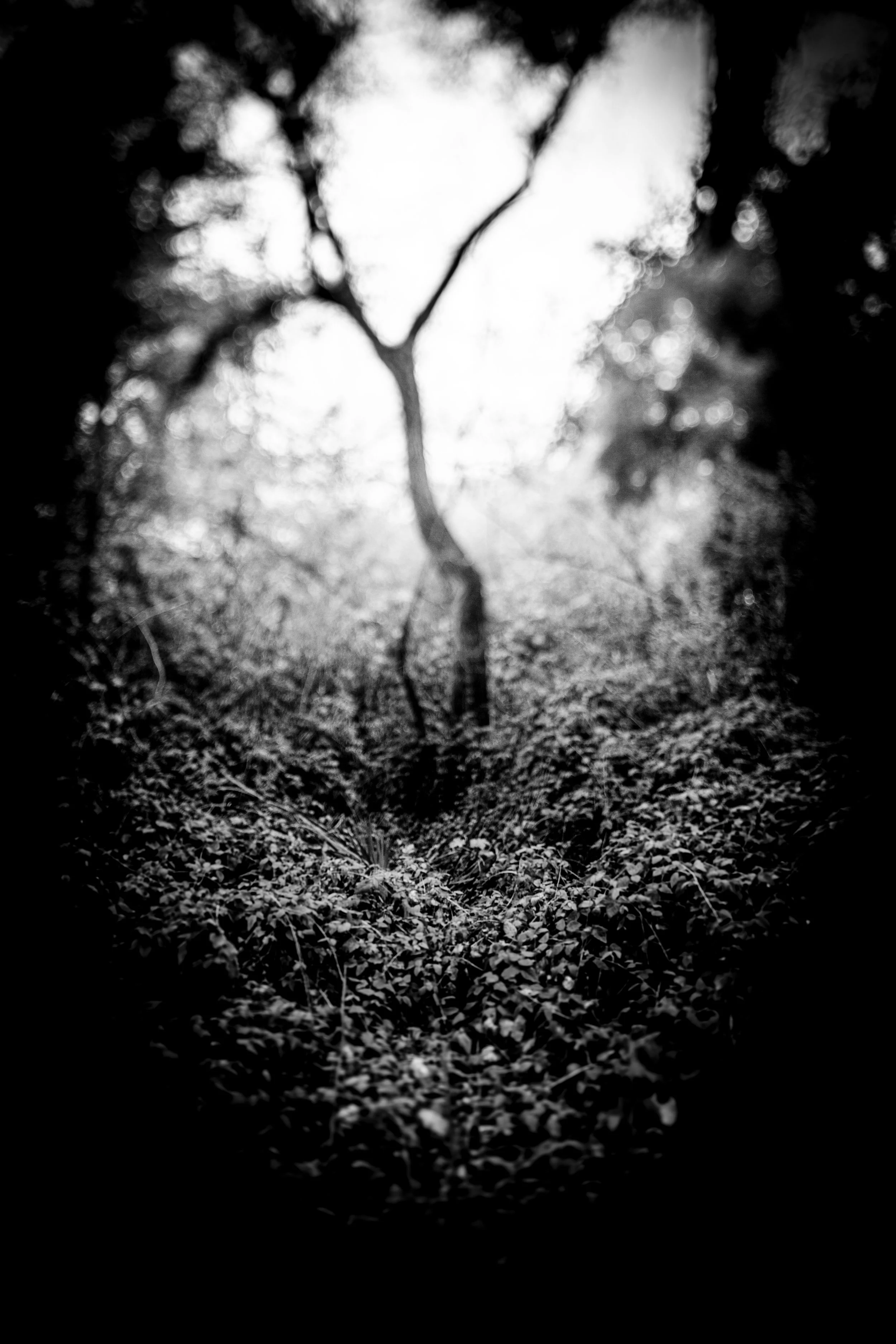 DarkTunnel2 copy.jpg