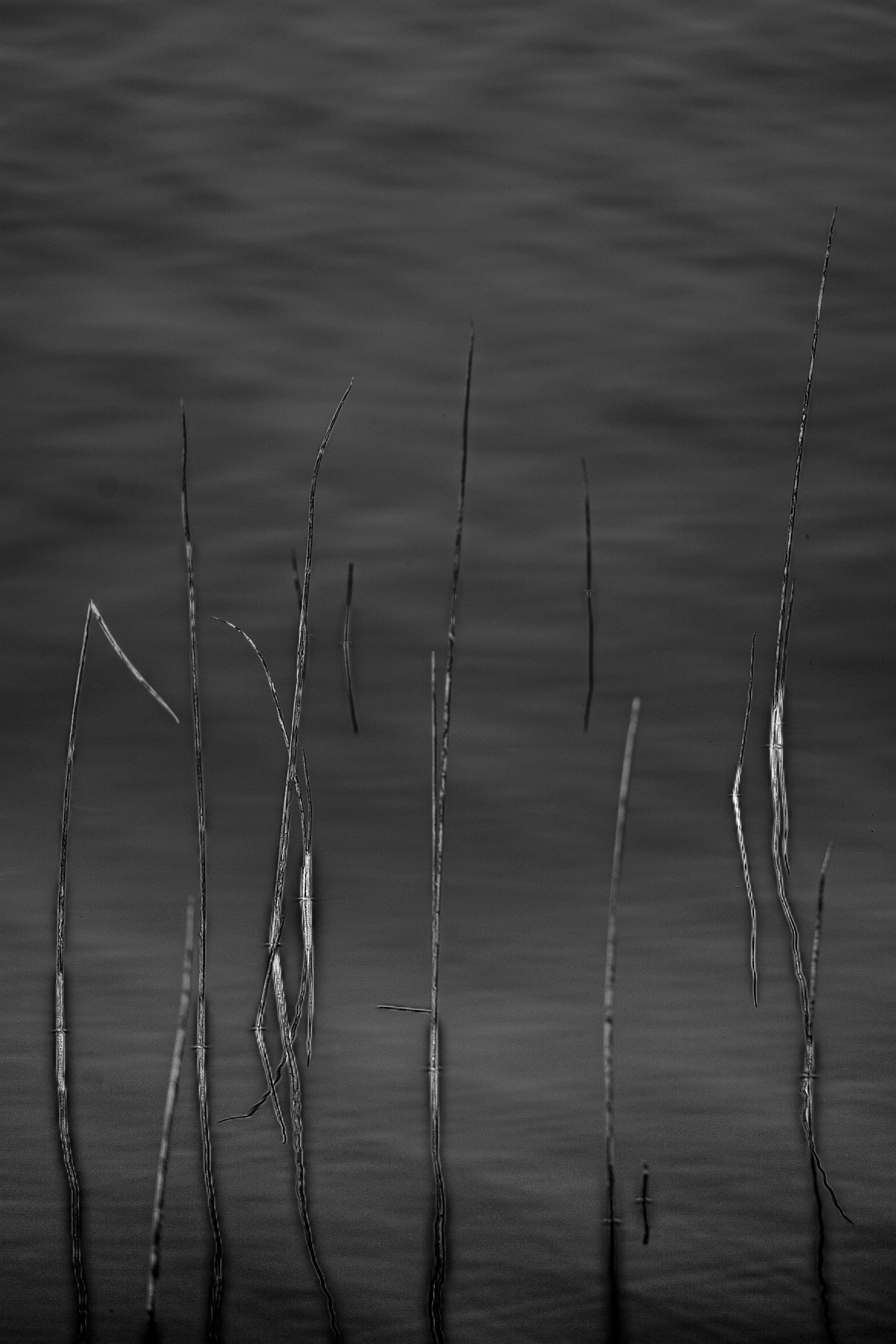 StillWater2 copy.jpg
