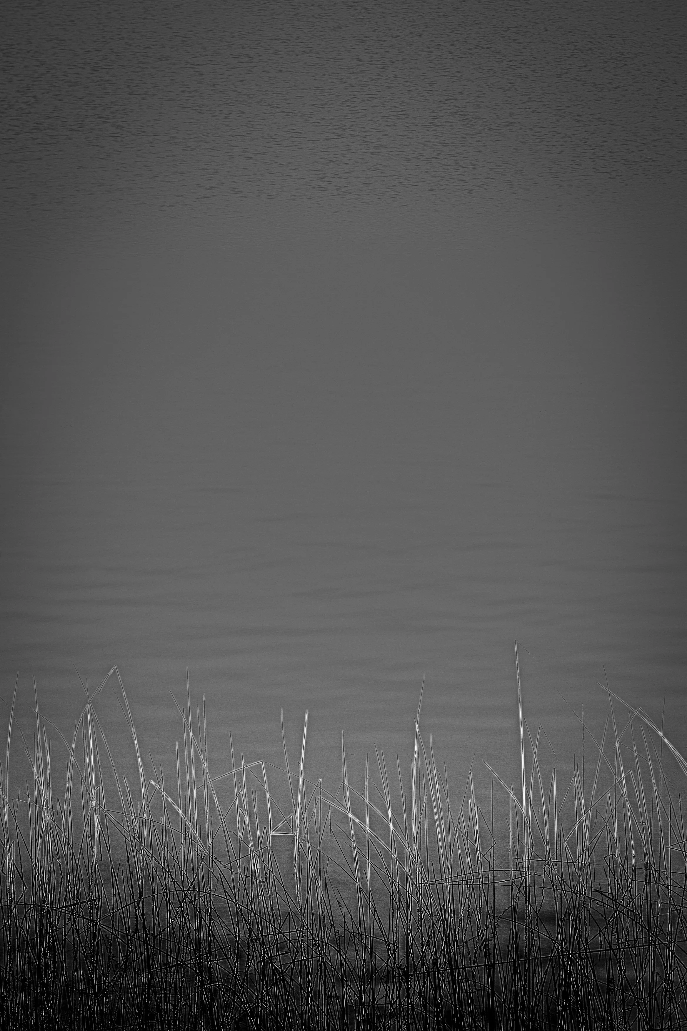 StillWind3 copy.jpg
