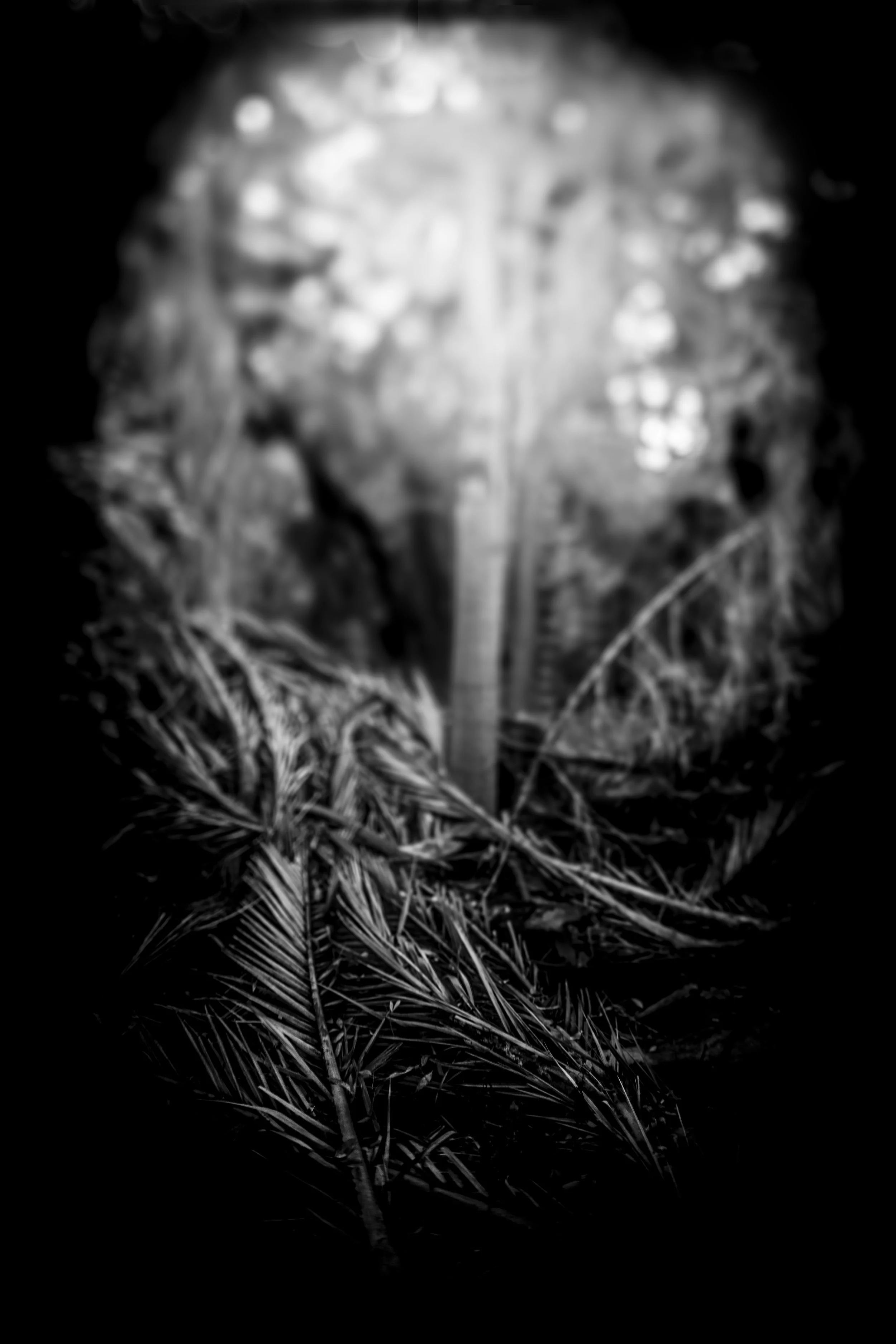 DarkTunnel4 copy.jpg